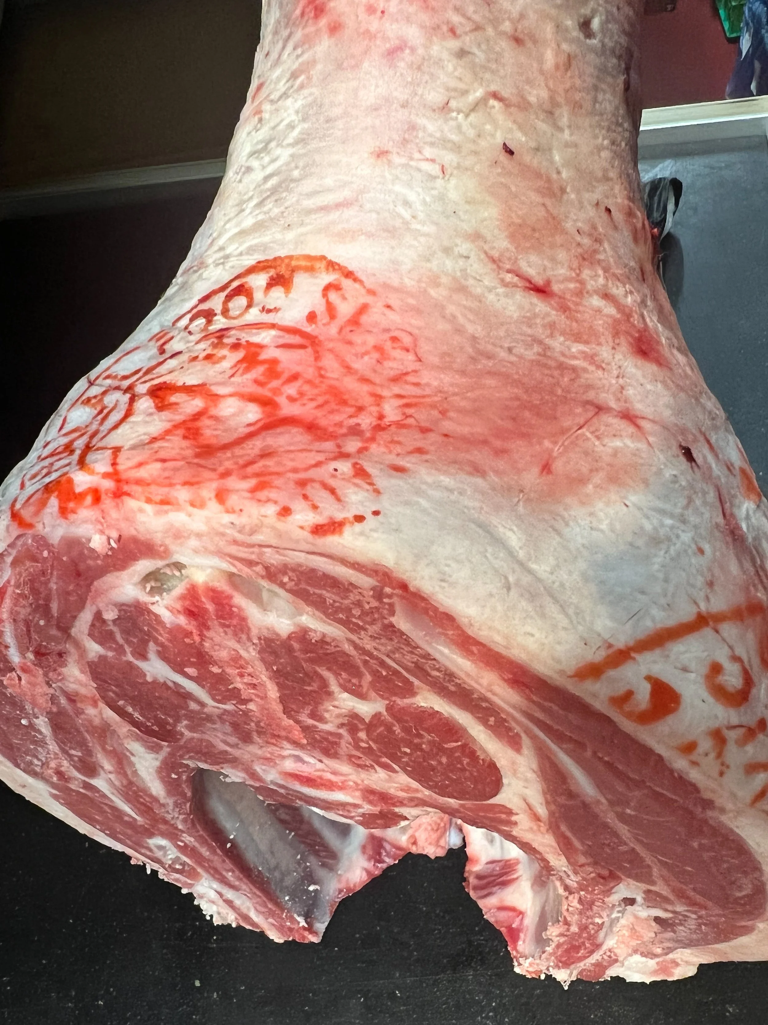 Lamb shoulder ( bone in )