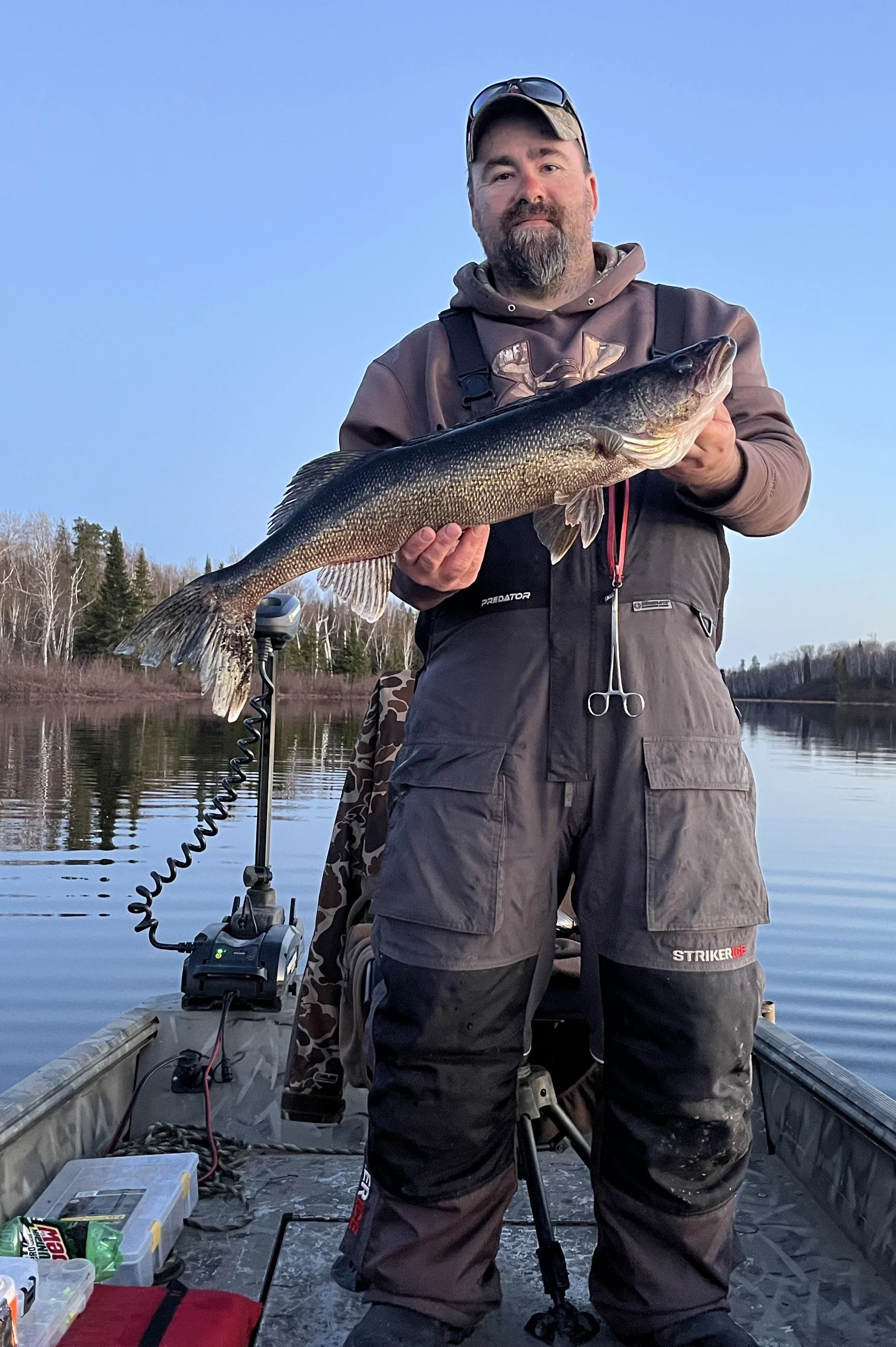 Nice walleye on Selwyn 2026