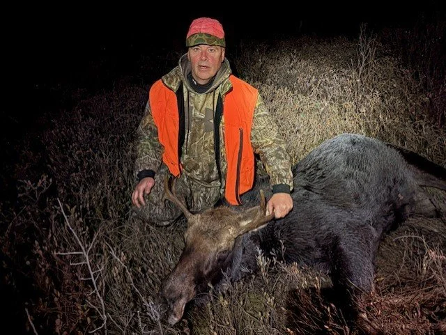 2025 Moose at Raven Lake