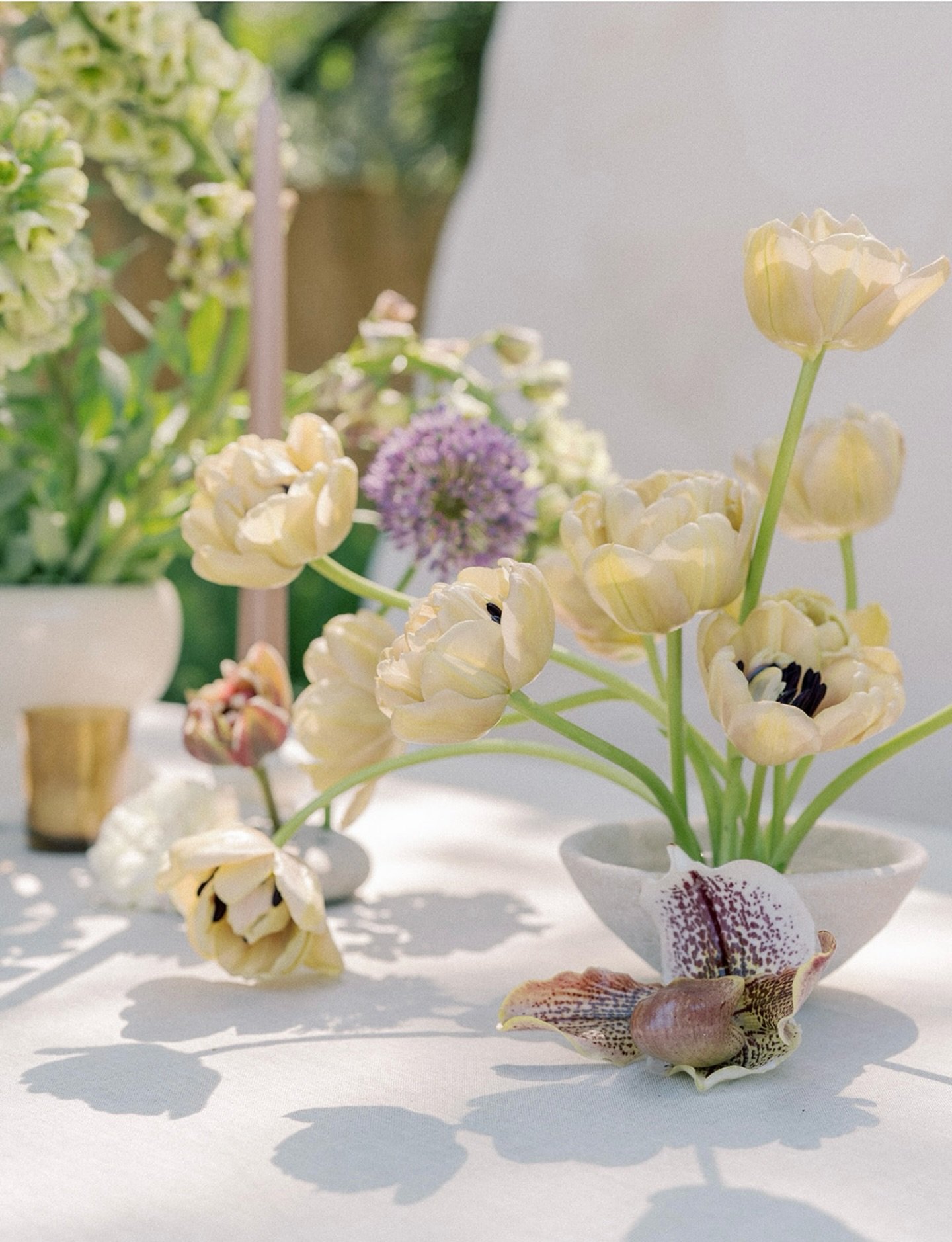 first Sunday of Advent, but missin&rsquo; spring ✨

📷 | @rutheileenphoto