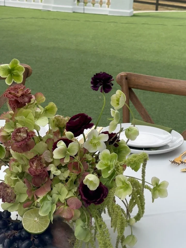 some pretty crumbs from E + E&rsquo;s day 🕊️ | 1.3.26

venue | @bellacosaweddings 
planner | @priscillaroseevents 
florals | @flwrfina 
photographer | @marycainphoto 
videographer | @photographybybenandkadin 
dj | @curate_entertainment 
catering | @