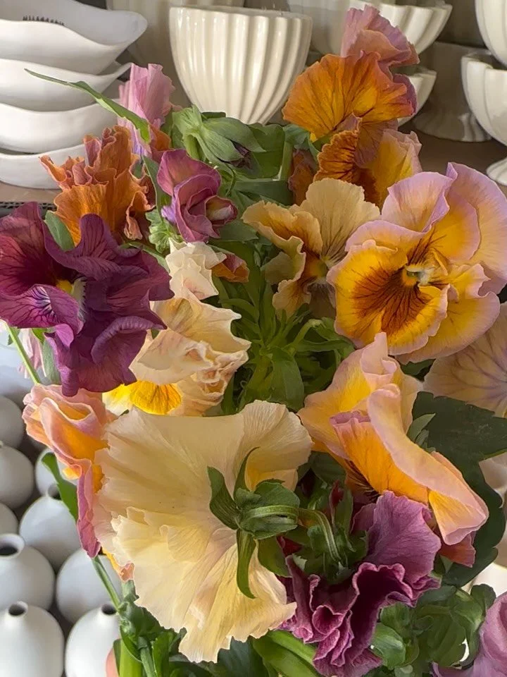 pansies, fritts, cymbids + hellebores + more in the studio this week for somethin&rsquo; fun 💕

spring is on the way! 💫