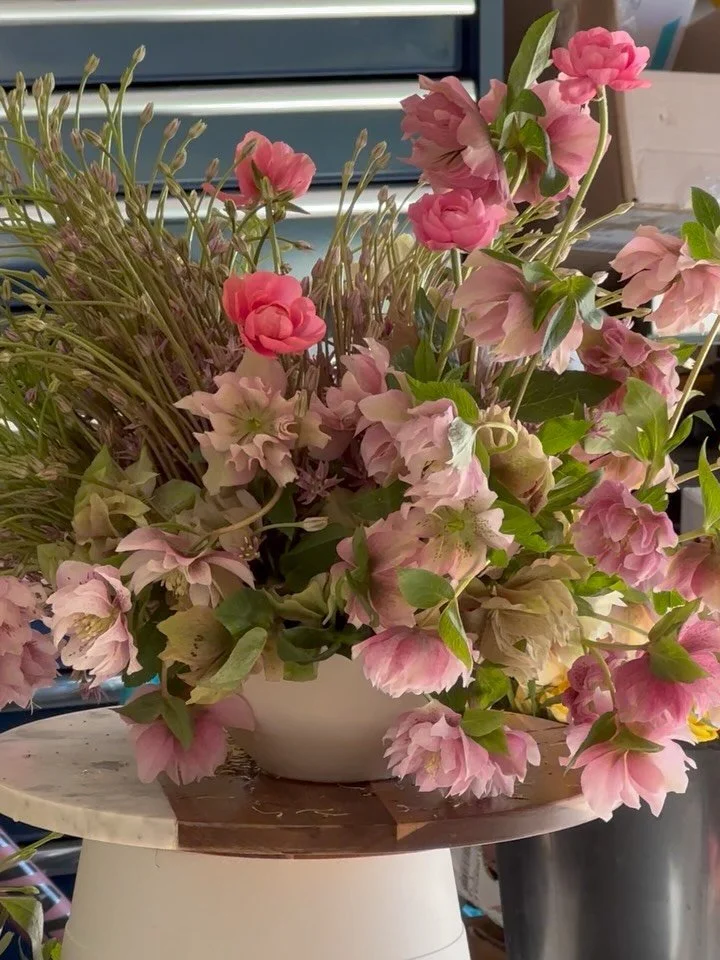 baby shower blooms from a few weeks ago in the studio x

will forever be a lover of fluffy, ruffly hellebore + allium schubertii ❣️