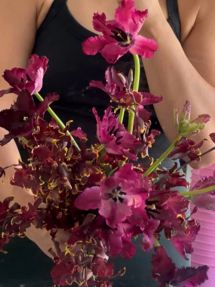 black fringe parrot tulips paired with my forever fave oncidium 🌷

do you see burgundy, berry or black? crazy how lighting changes gradience in color theory! x