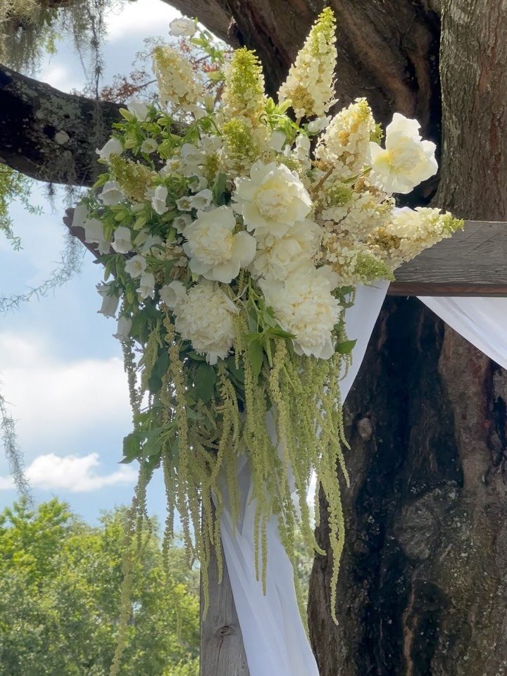 textural whites + greens for T + T for the last wedding of the spring season ❇️🌿

endlessly grateful i get to be a creative as my job &amp; to have clients trust me with the details on their most important day. 

i can&rsquo;t wait to come back refr