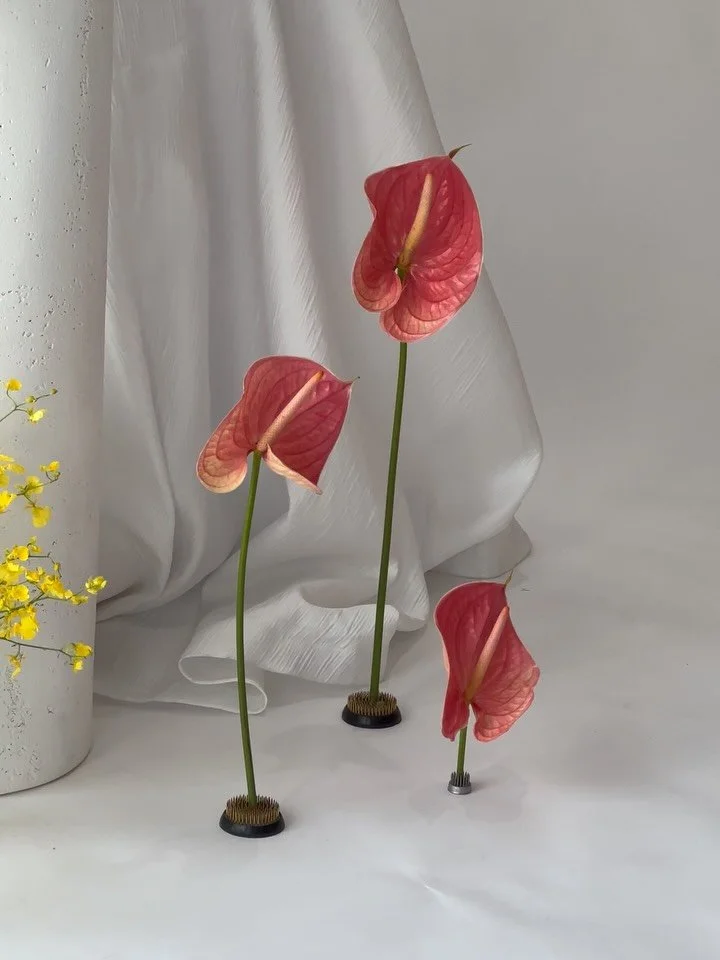 styling anthurium on pin frogs for the foreseeable future 🔮💫&spades;️