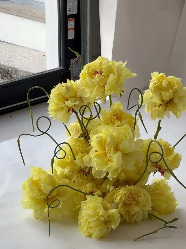 fluffy peonies 🤝curly garlic scapes 〰️🧄