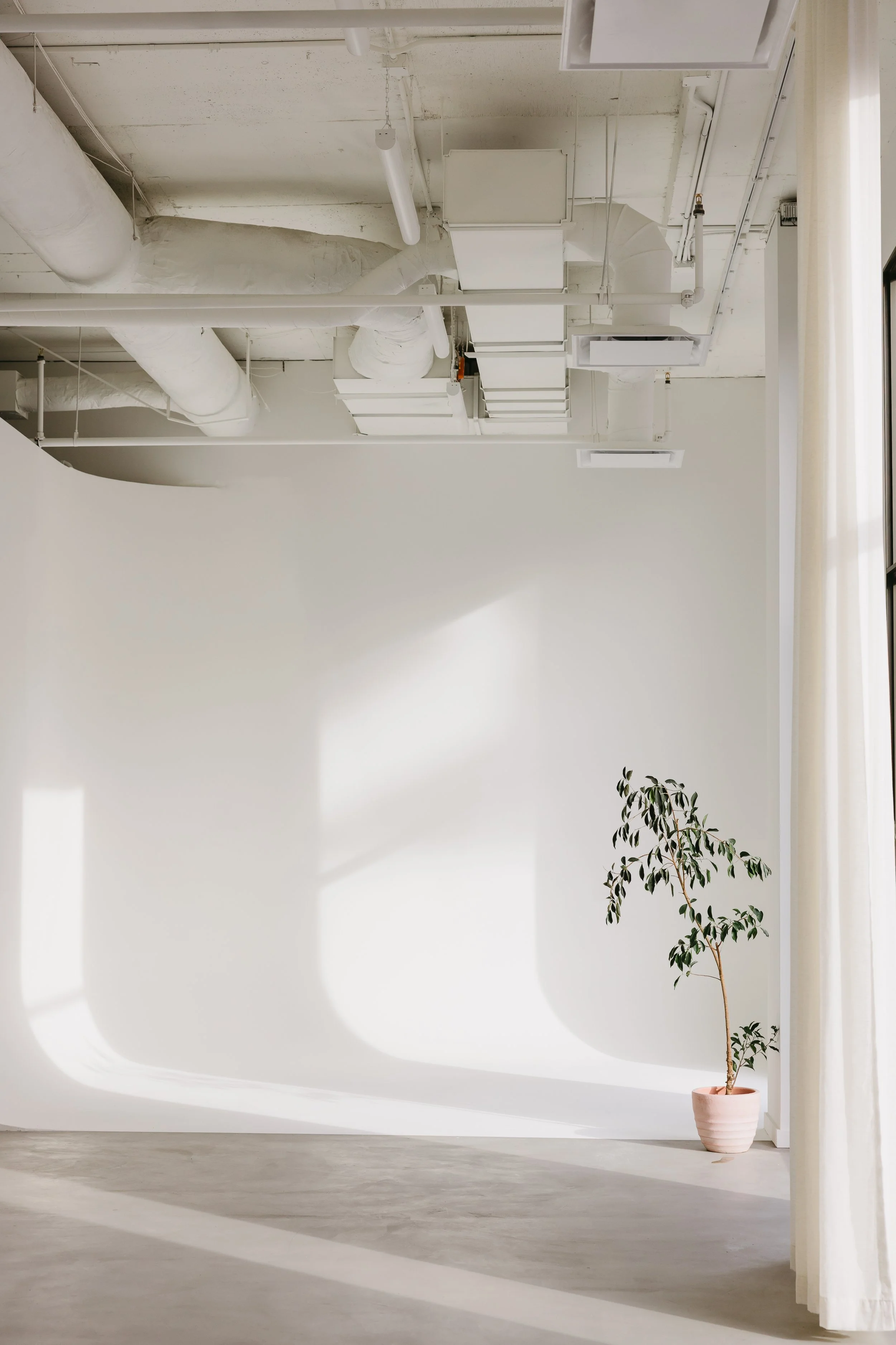 Intérieur d'une pièce lumineuse avec un mur blanc, un rideau blanc, et une plante en pot placée au coin.