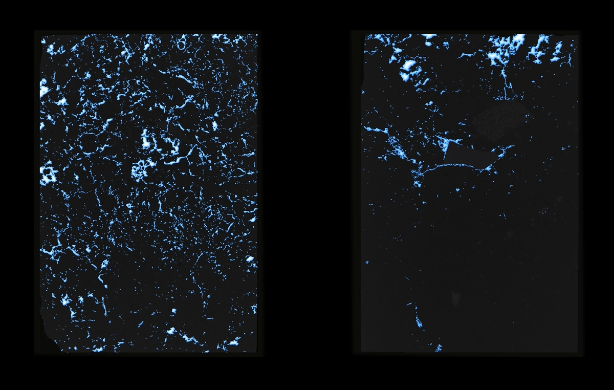 grain.py and soil_sonify.py on Dodgeville silt loams
