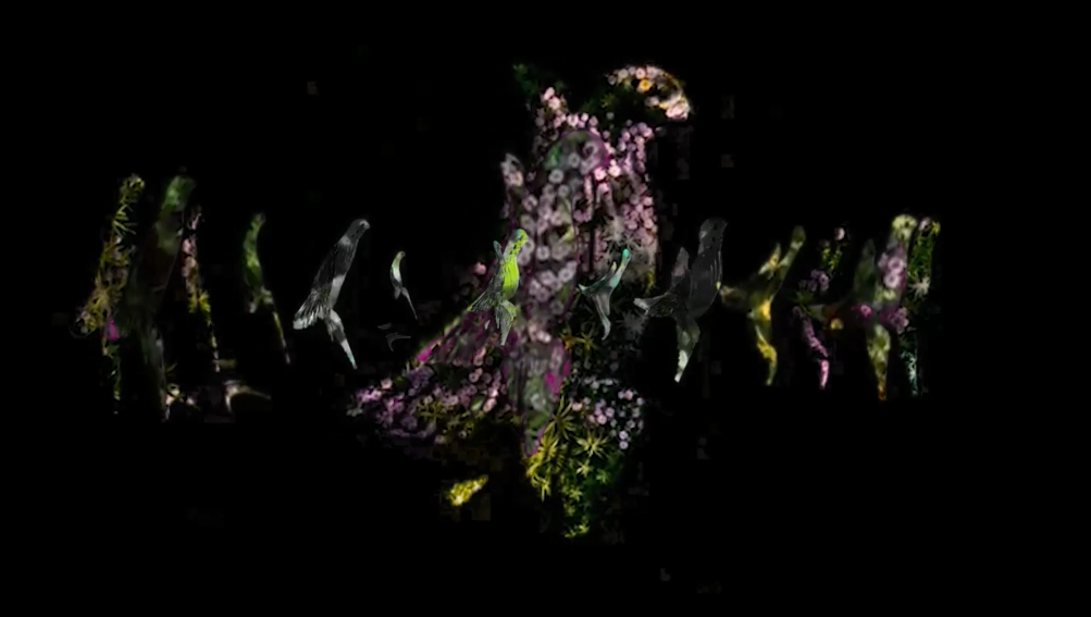 AV Sketch Reel 12-21-25