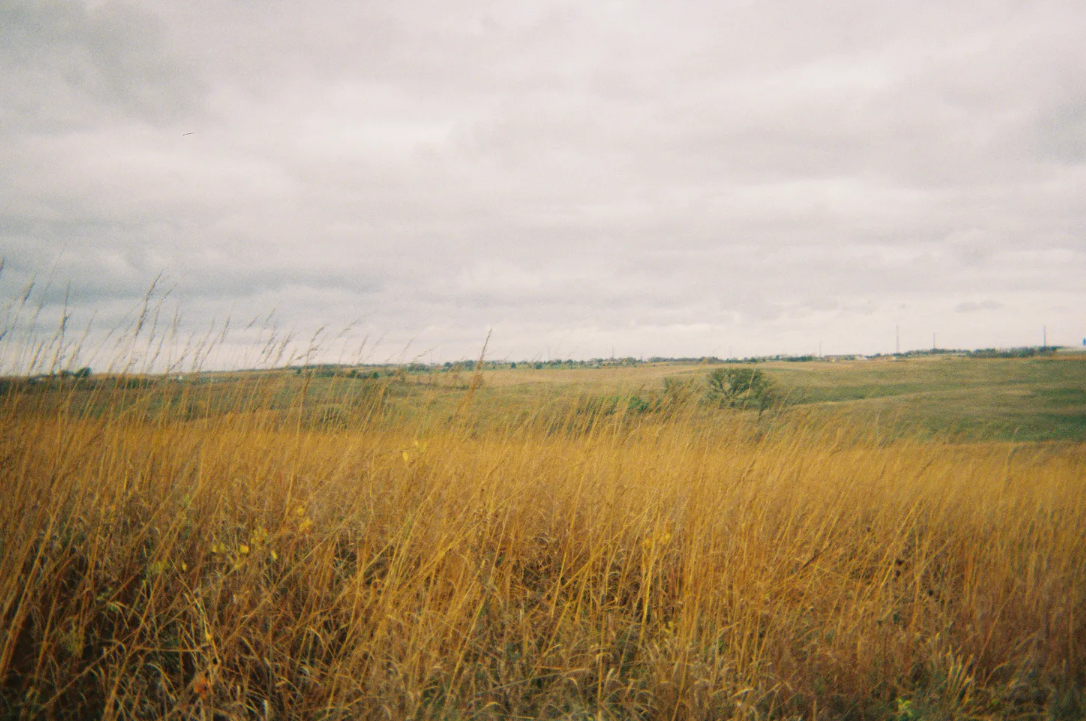 Screenshot 2026-03-01 100547.png