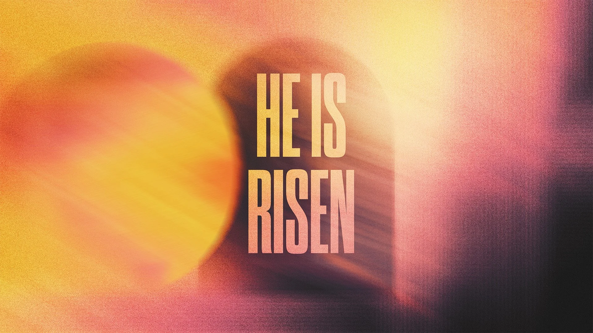 Easter Sunday  |  April 5  |  9am + 10:45am