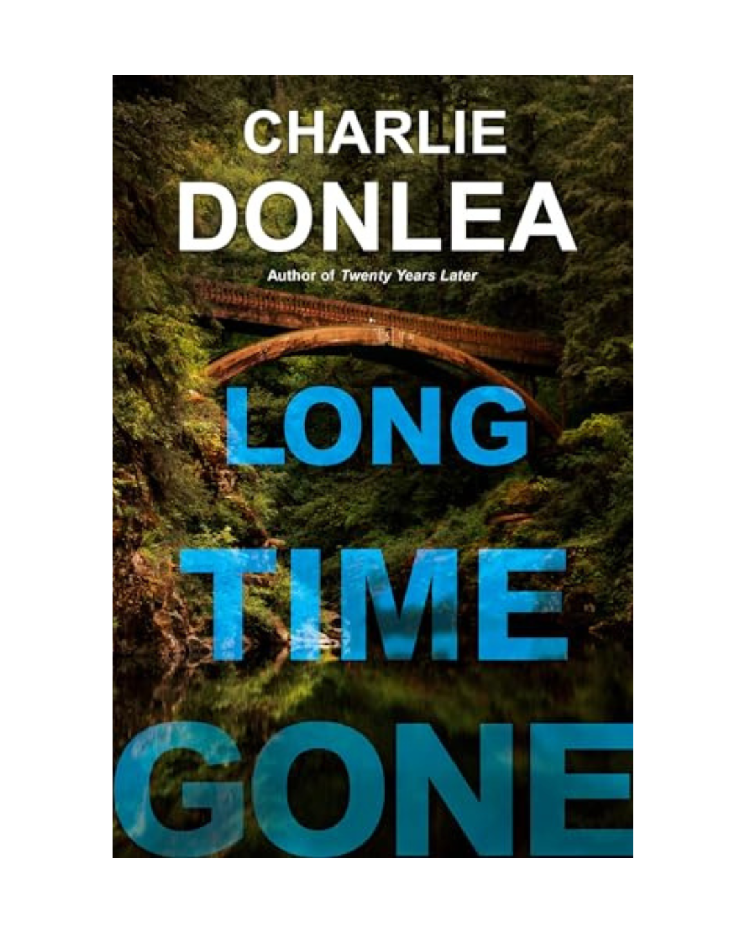 Long Time Gone by Charlie Donlea