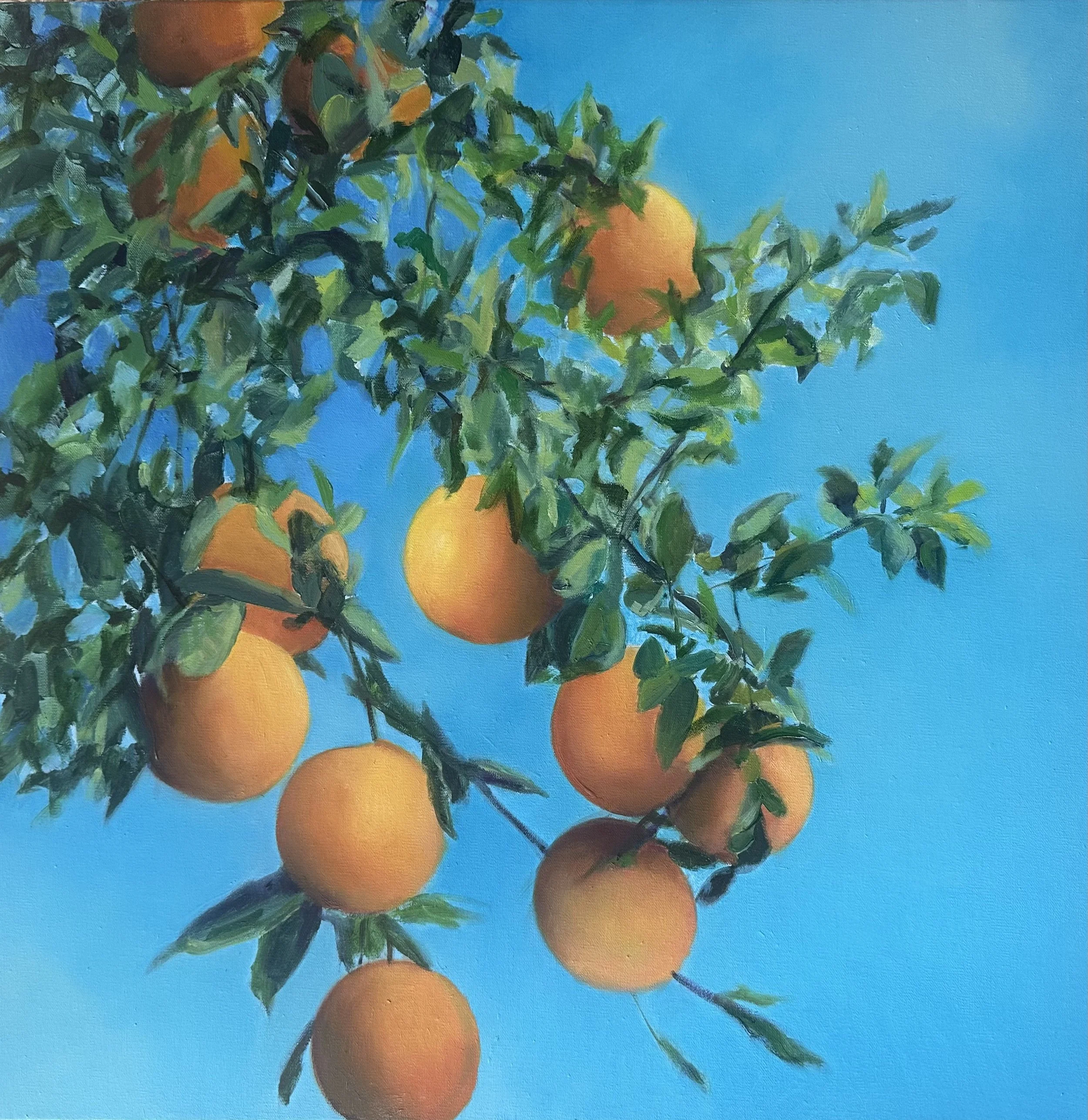 Vanishing Harvest "20 x 20" Oil on Canvas