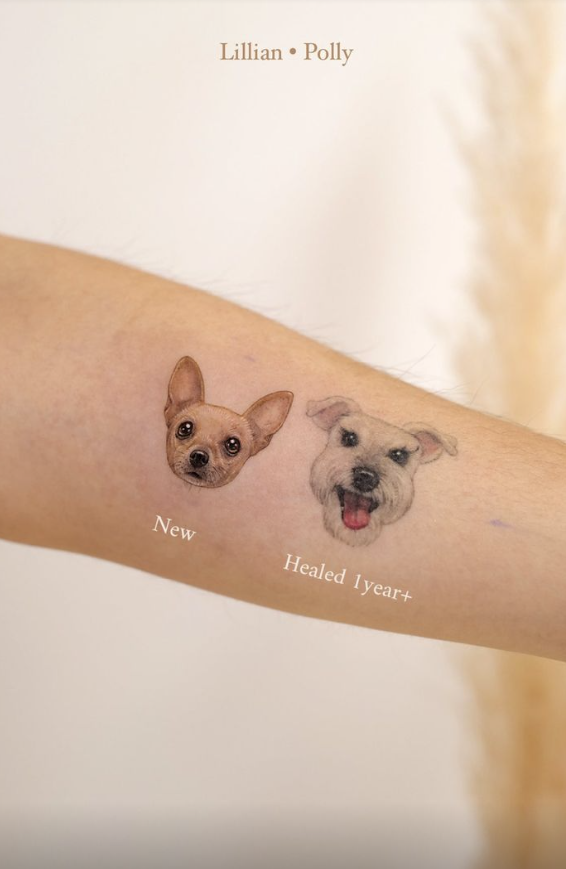How to Get a Pet Tattoo You Won't Regret