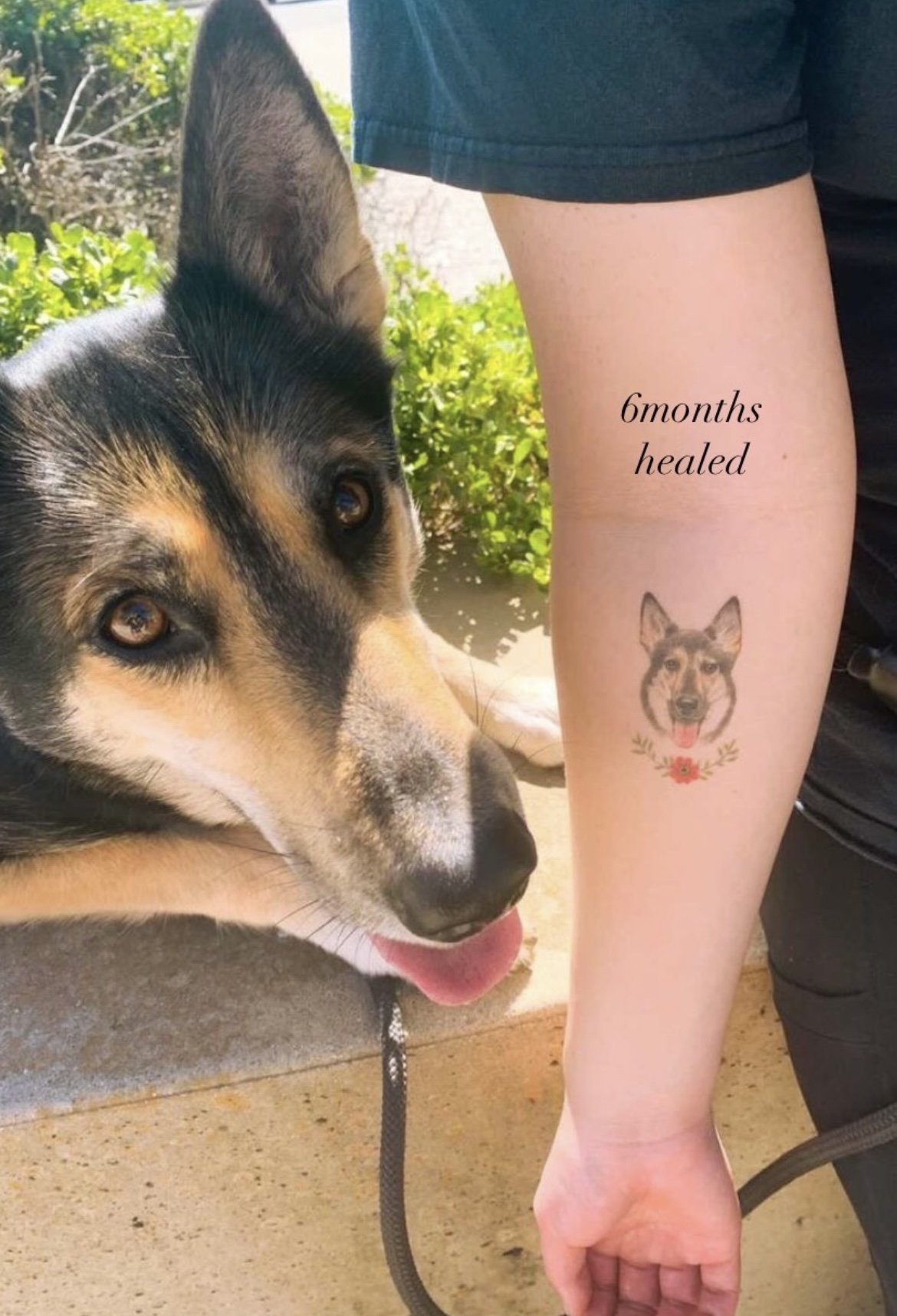 Dog Portrait Tattoos Realistic | Dog portrait tattoo, Tattoos, Small tattoos