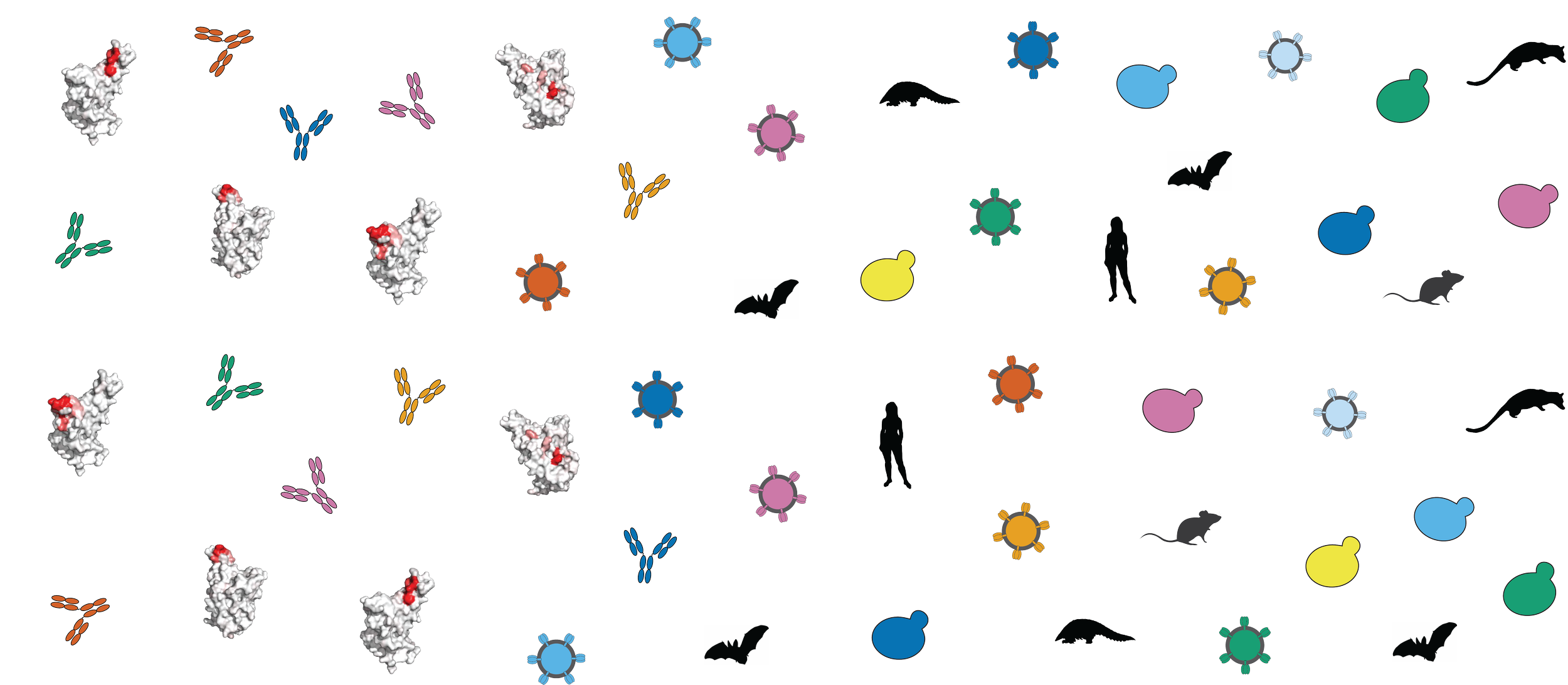 Research — Starr Lab