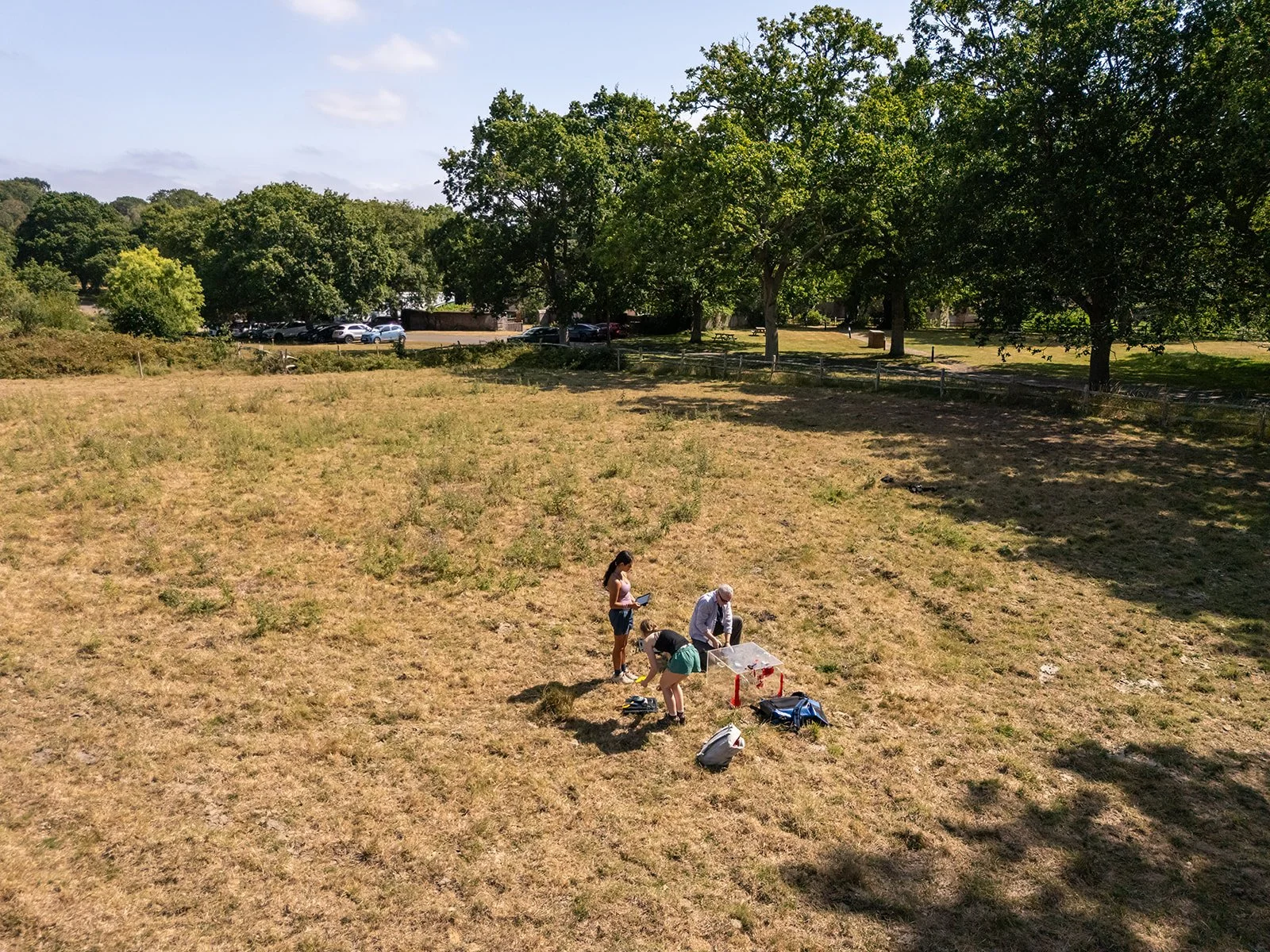 People studying in a field
