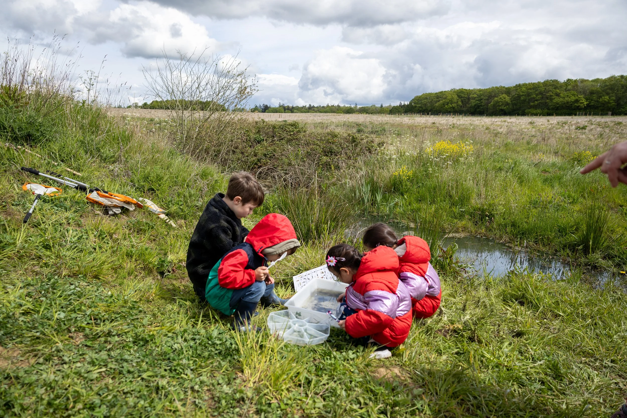 Children sitting outside at Nattergal Nature day at Boothby Wildland