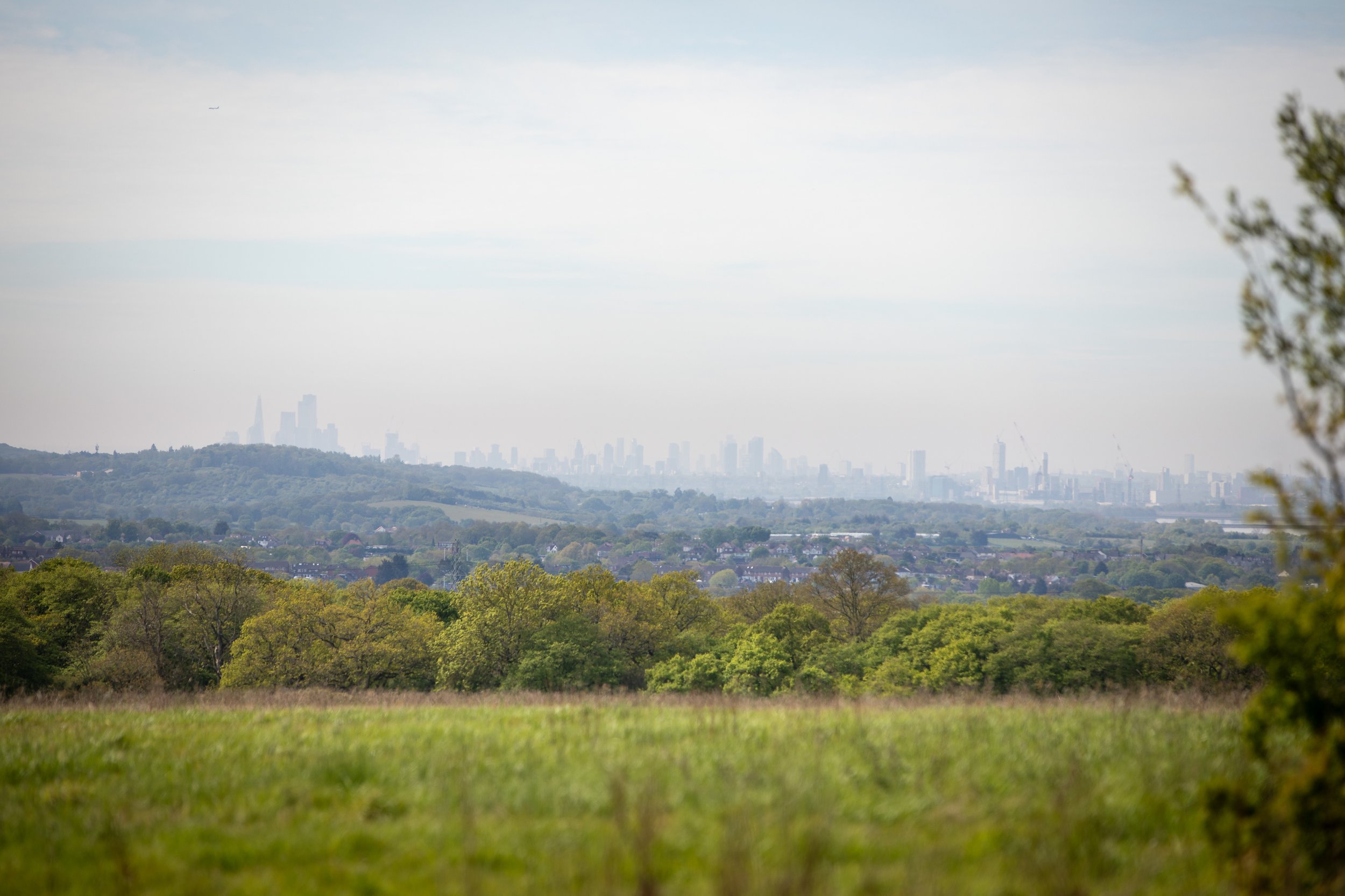 A scenic shot of Harold's Park with London skyline