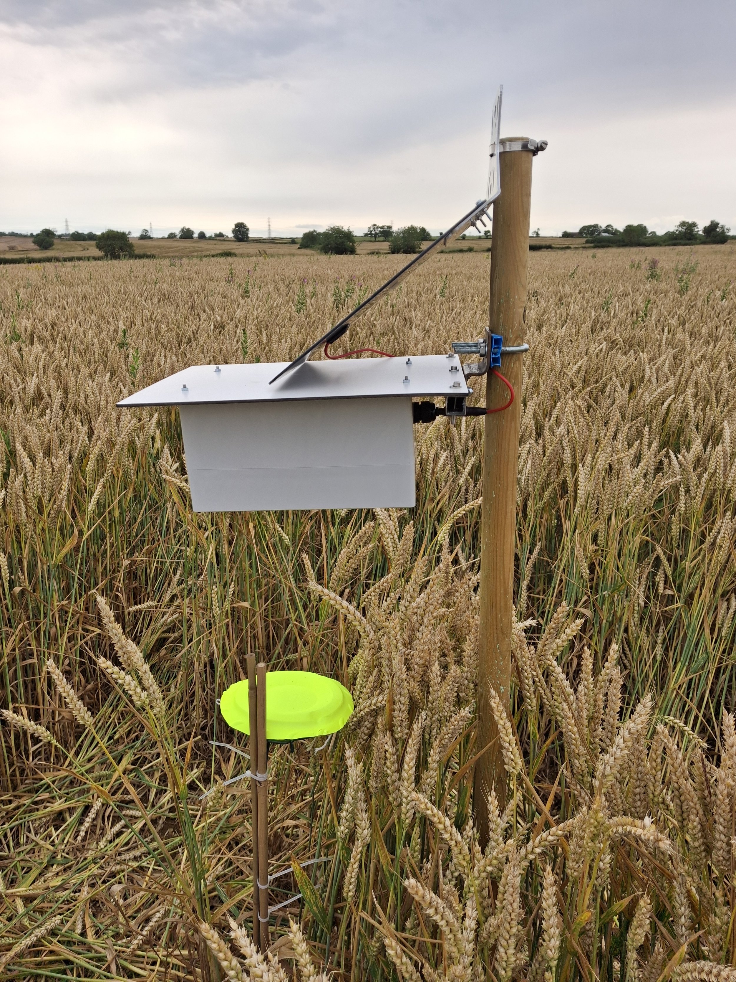 2024_Artficial Pan Trap_Far Field_Graham Smith_Permission Given.jpg
