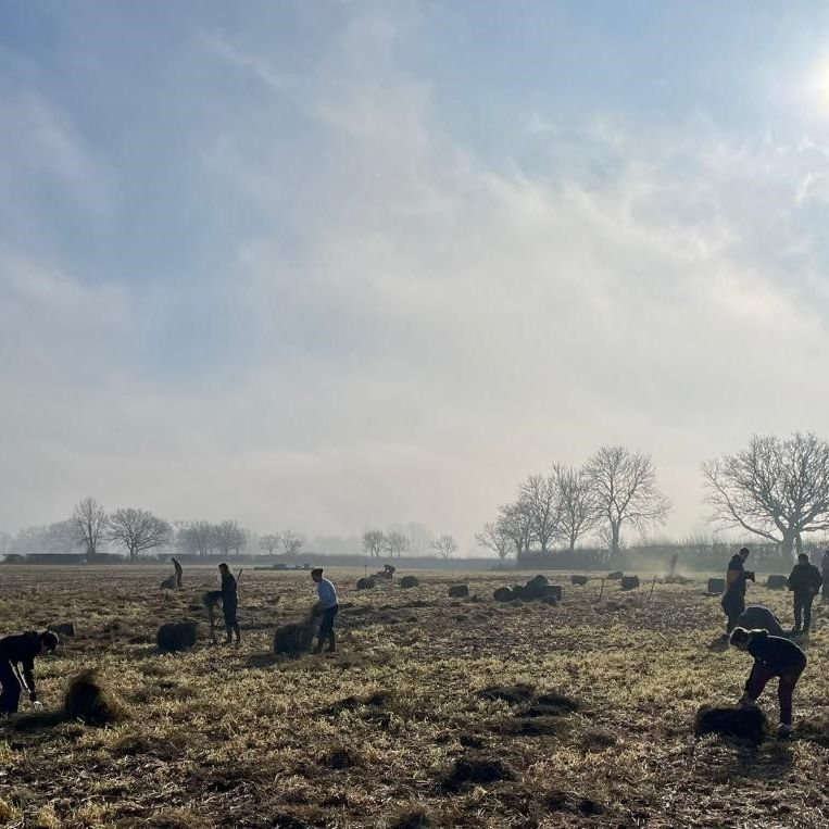 Rewilding Kick-starters

To help rewilding progress in the early years, we can help &lsquo;kick-start&rsquo; the land and soil&rsquo;s recovery. At Boothby Wildland, you may have already spotted some willow whips appearing, or piles of deadwood and b