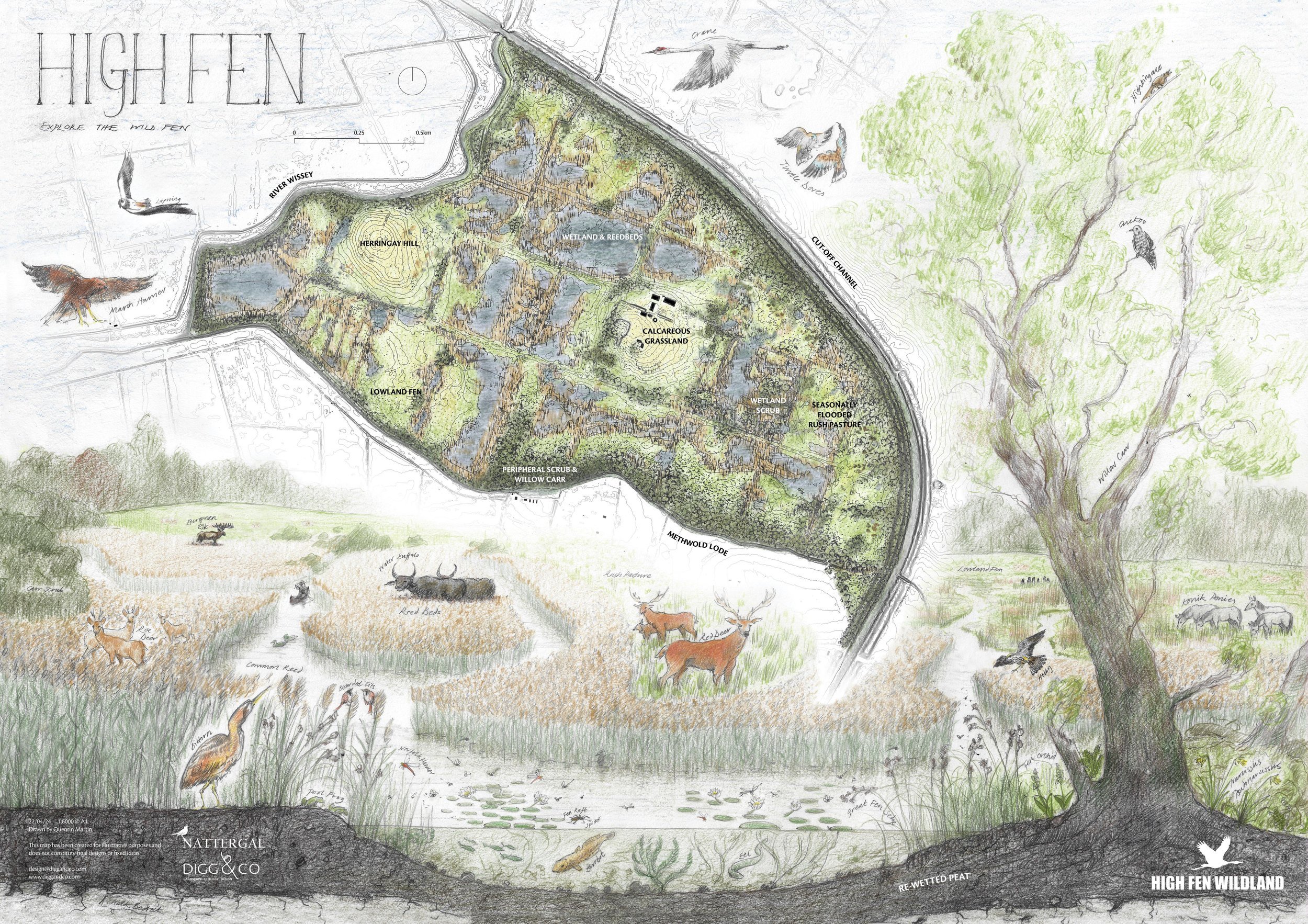 High Fen Wildland | Vision & Progress