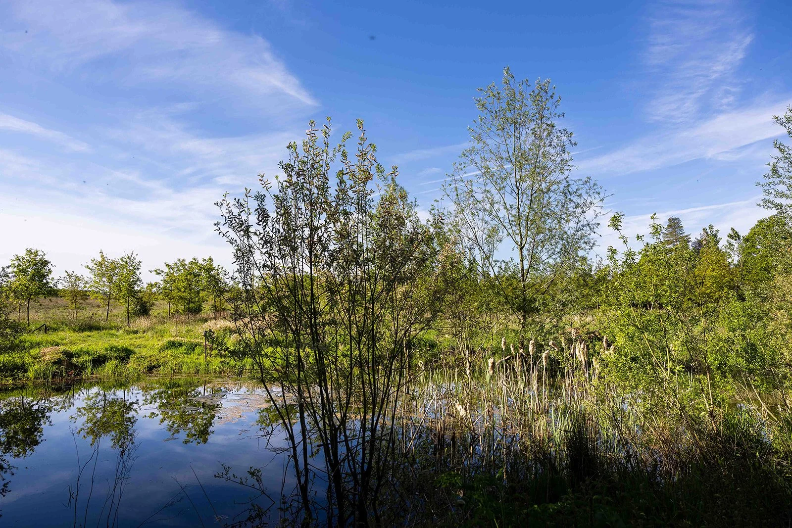 Boothby Wildland Impact Report 2022-2025