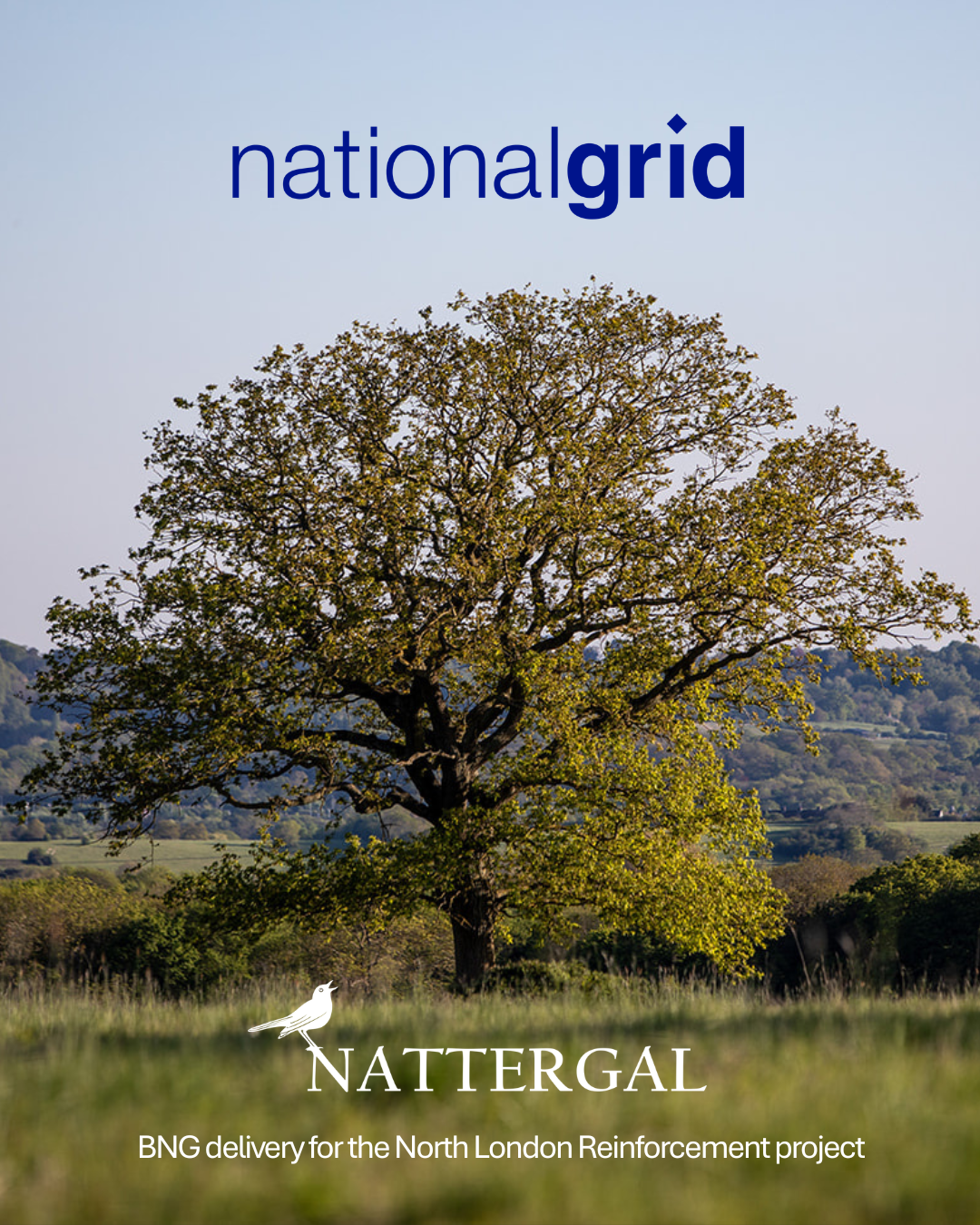 Nattergal partners with National Grid to deliver landmark biodiversity uplift for North London Reinforcement Project‍  ‍