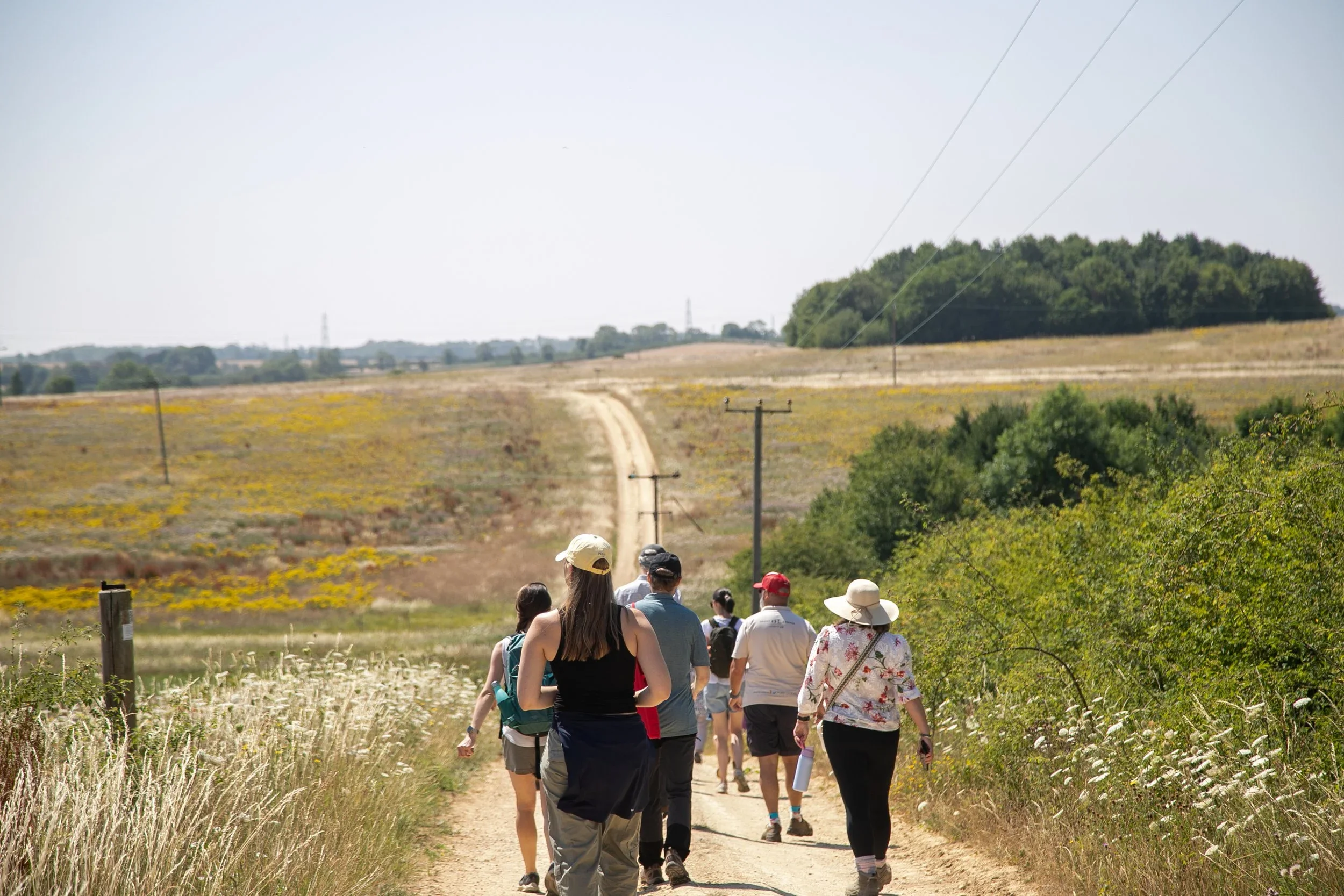 People walking at Boothby Wildland on a guided tour