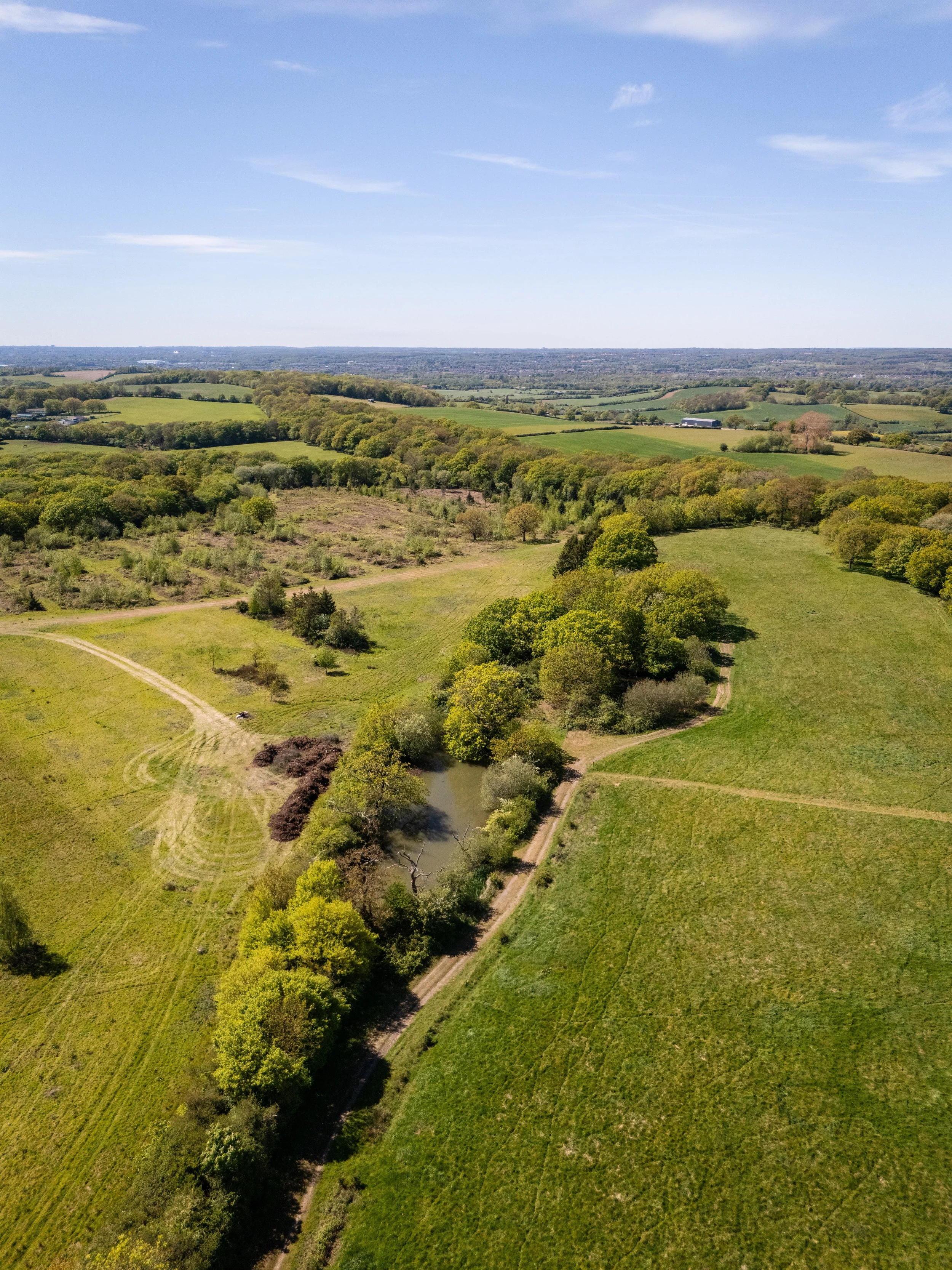 Drone shot of Harold's Park wildland