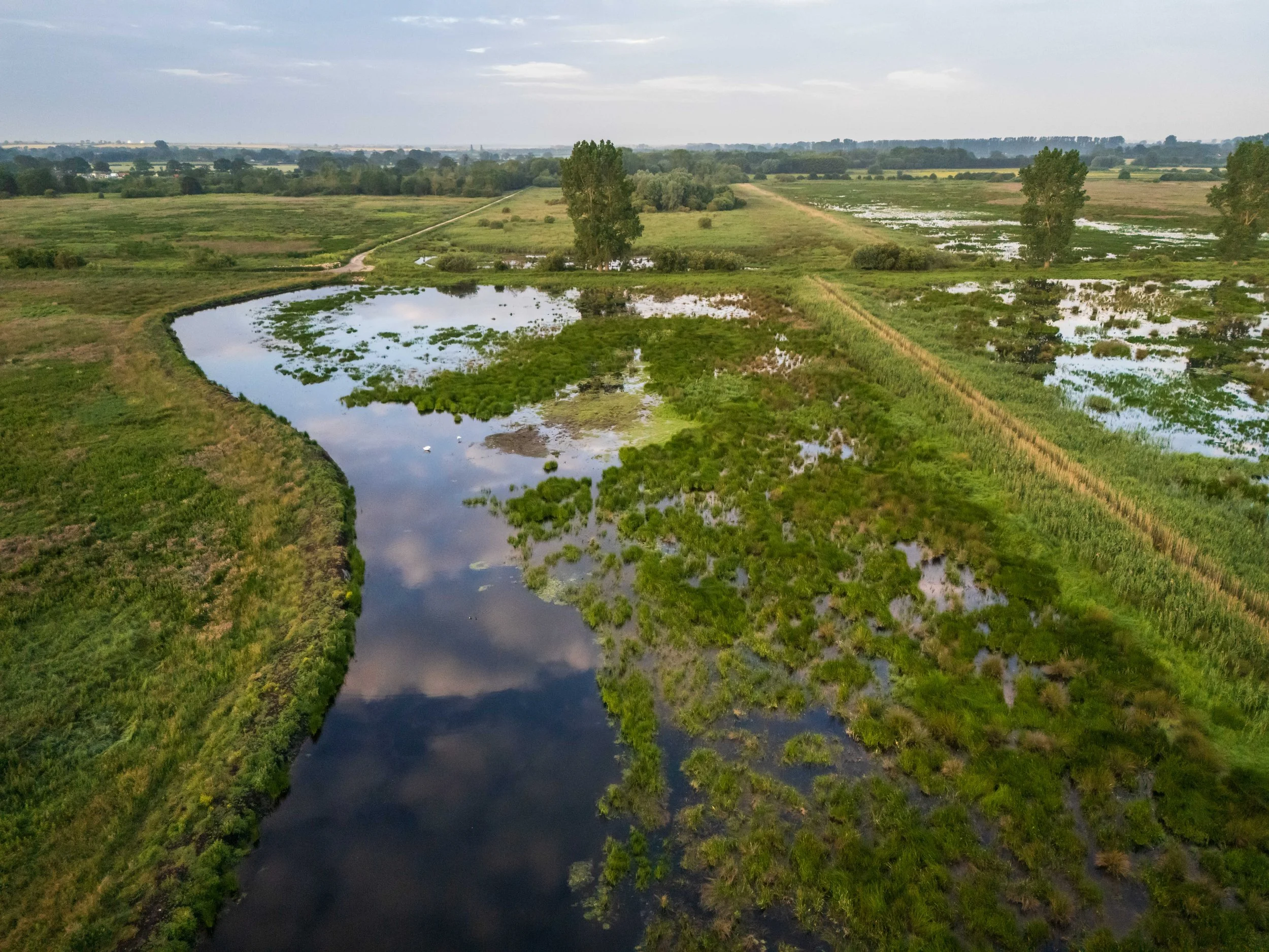 Drone shot of High Fen wildland