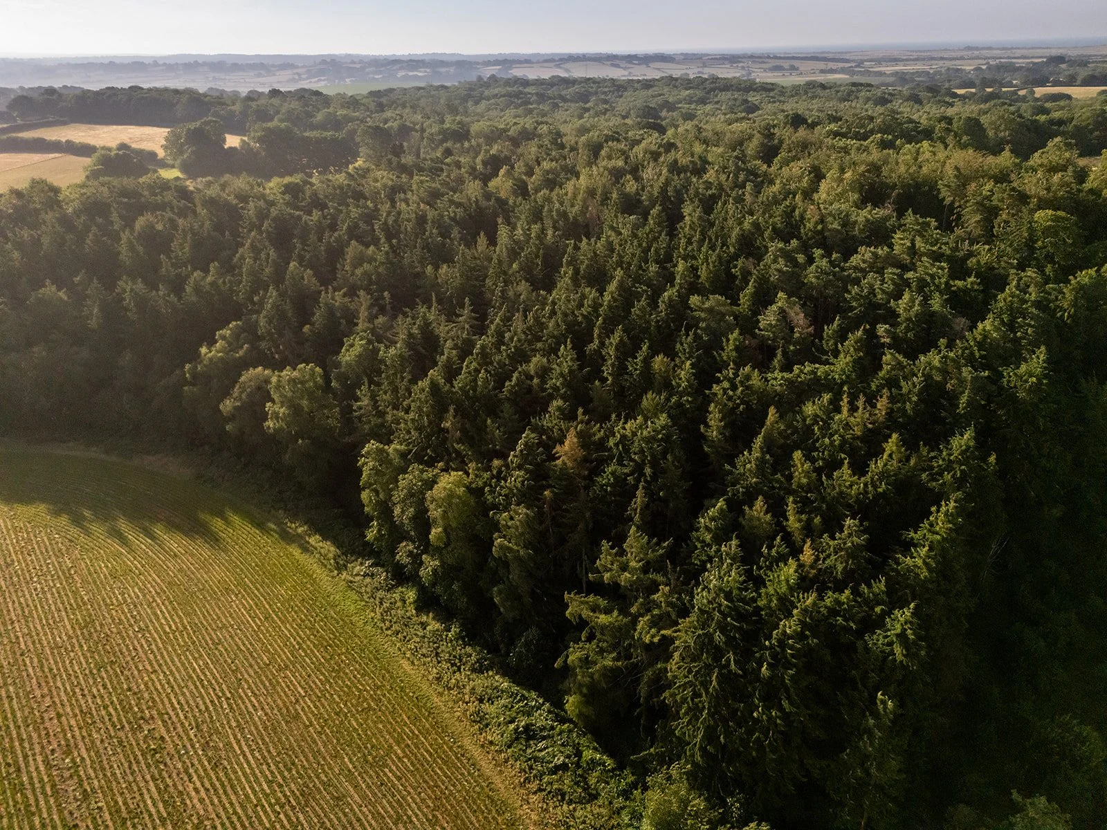 Drone shot of Herstmonceux