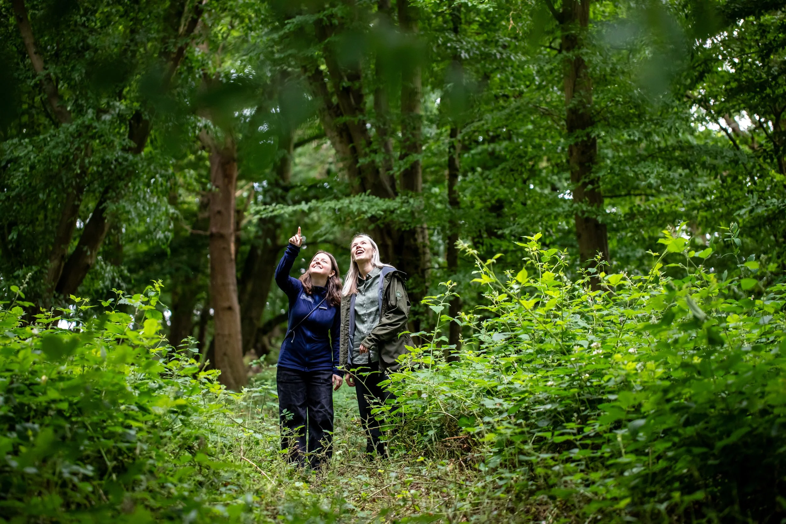 Two people looking at nature at Harold's Park wildland