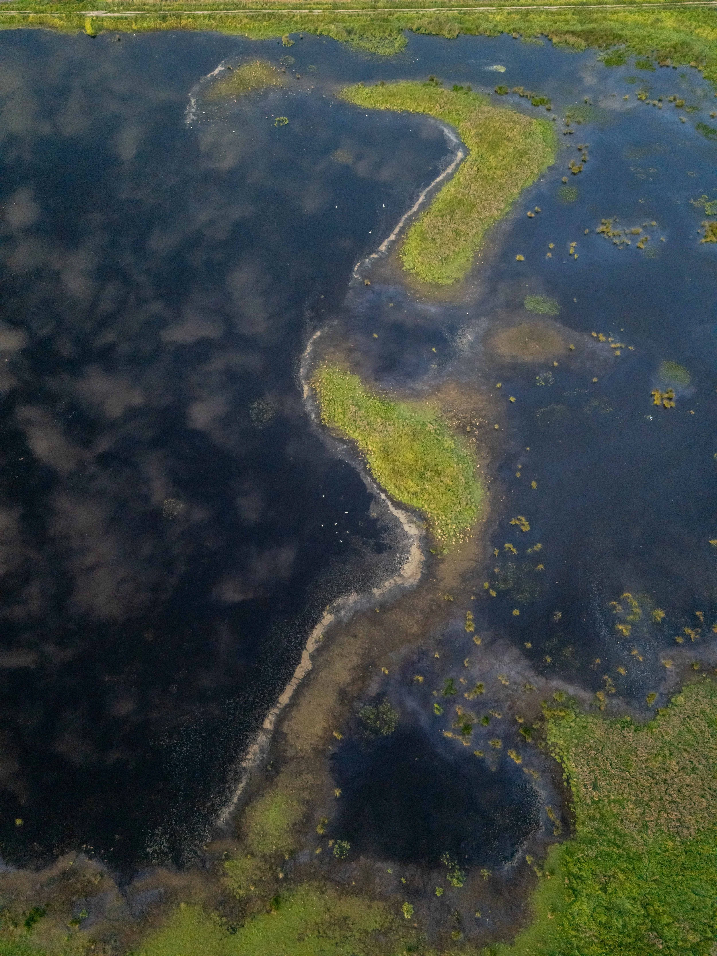 Drone shot of High Fen Wildland