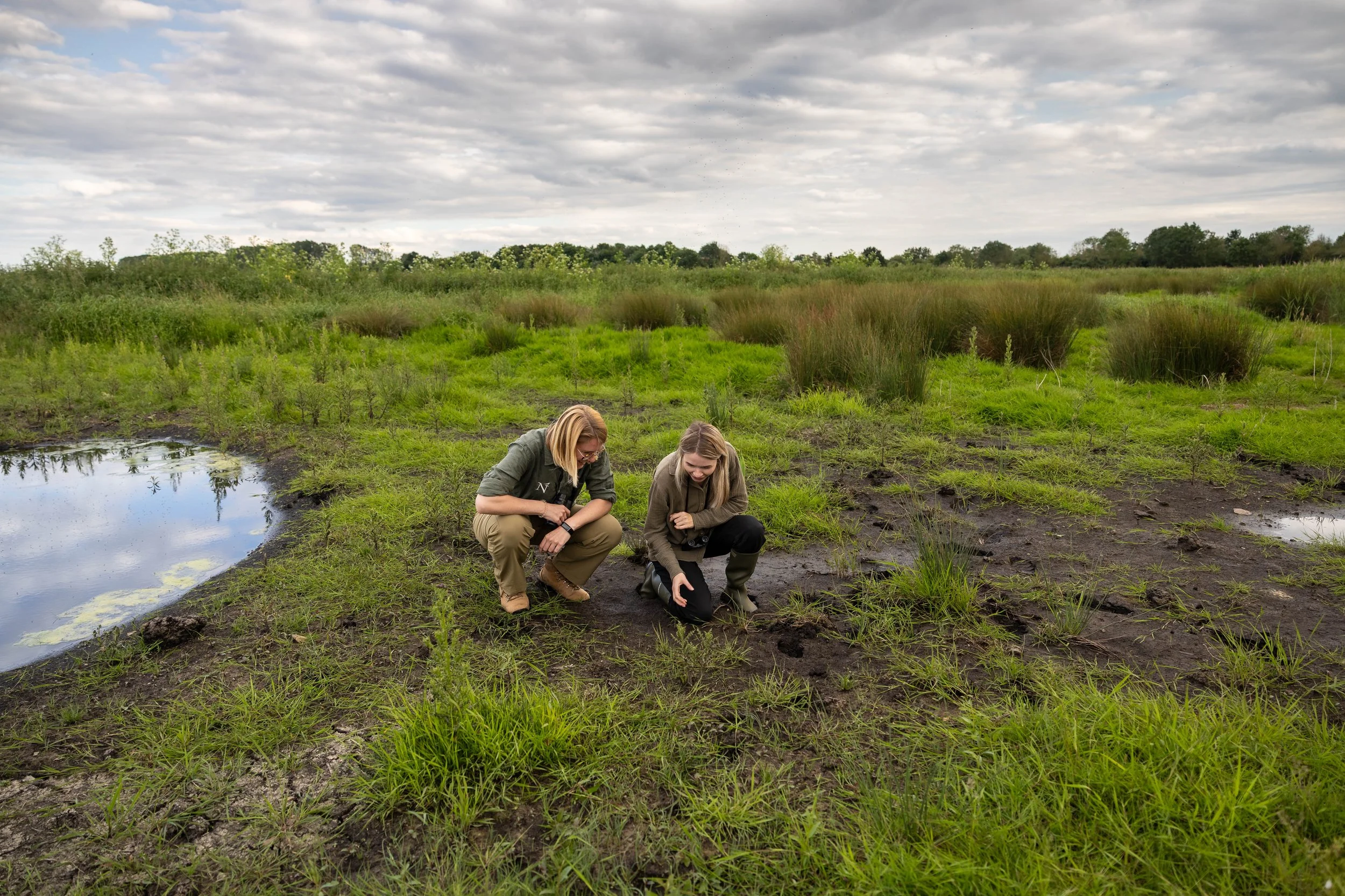 Two ecologists looking at the peatland at High Fen Wildland