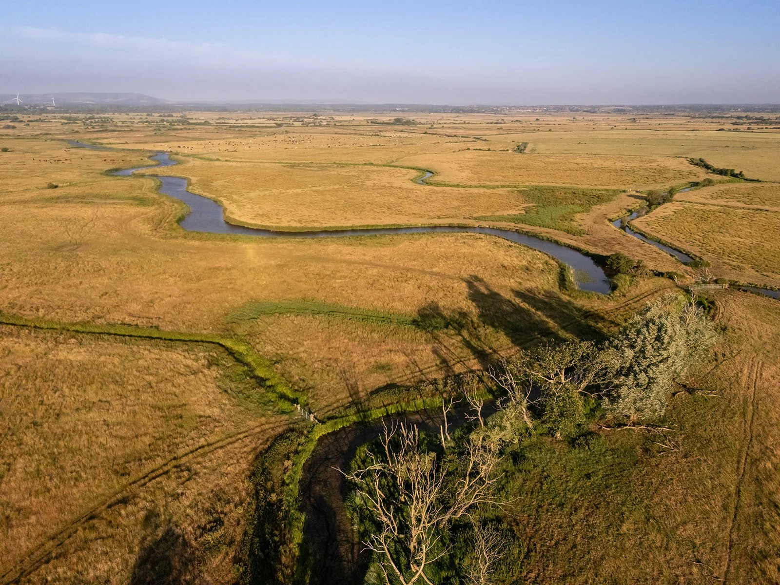 Drone shot of a field and river