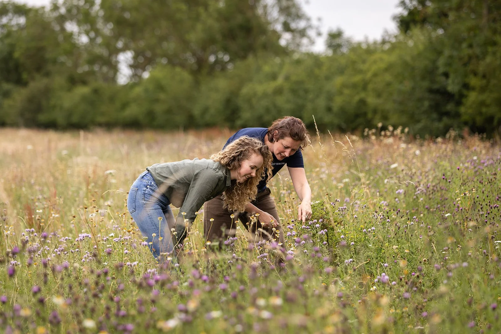 Two people looking at a flower in a meadow