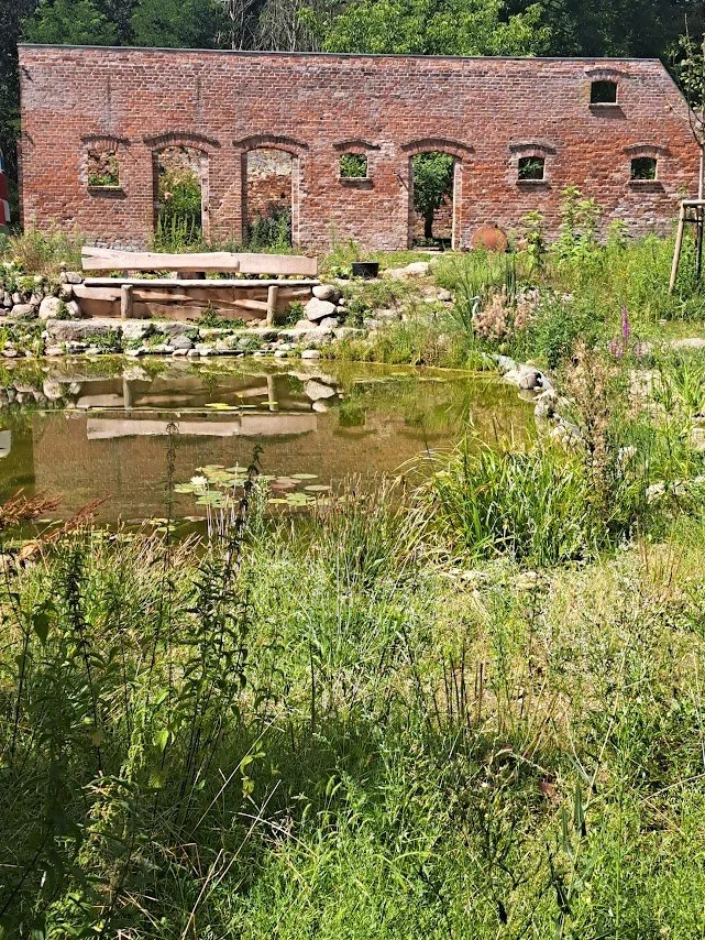 Teich im Hof.jpg