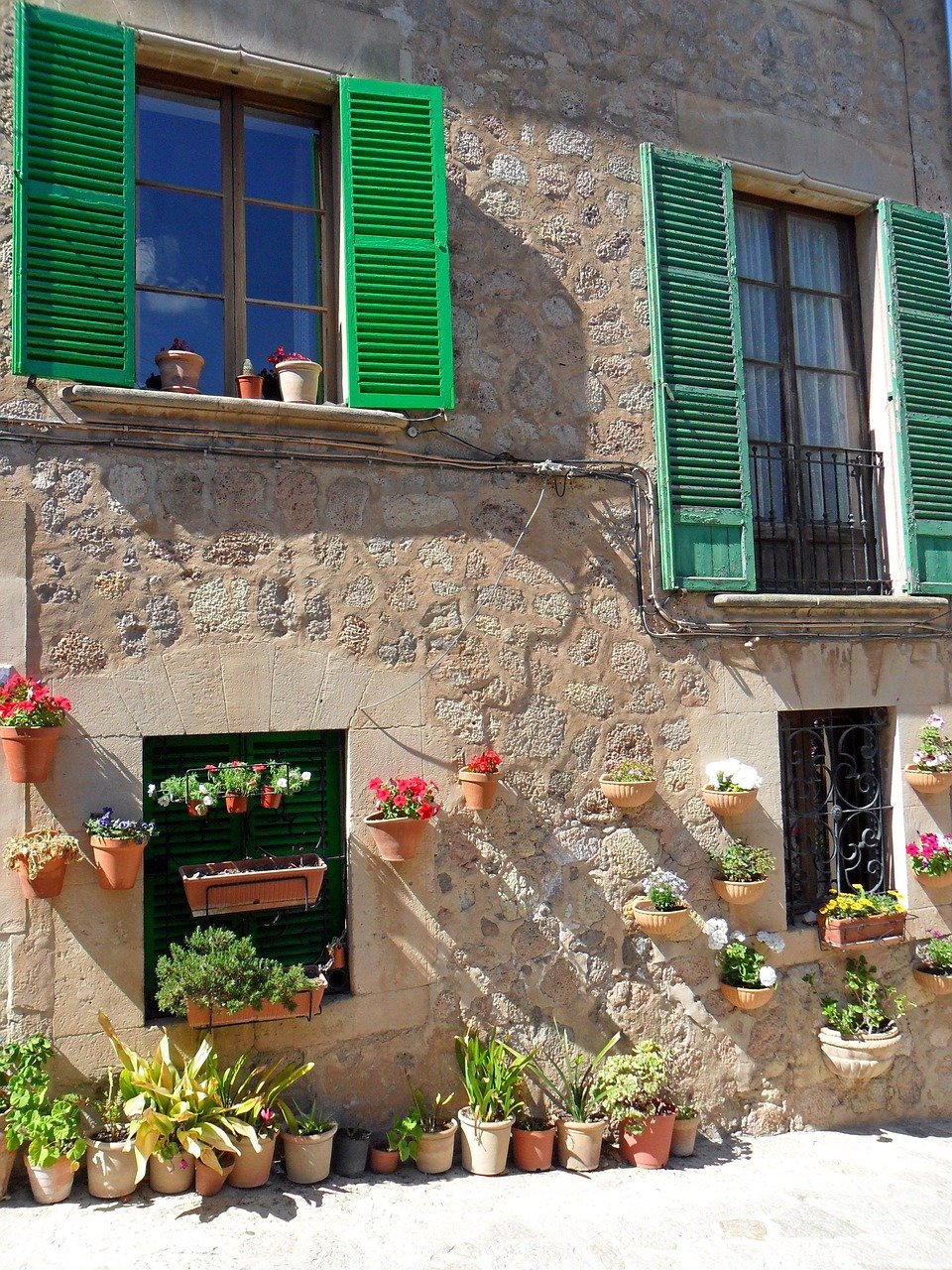 laborratte-mallorca-112581_1280.jpg