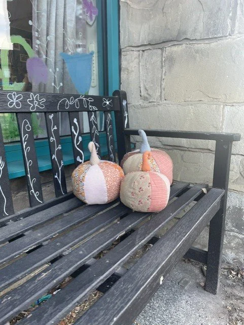 pumpkin dabric.jfif