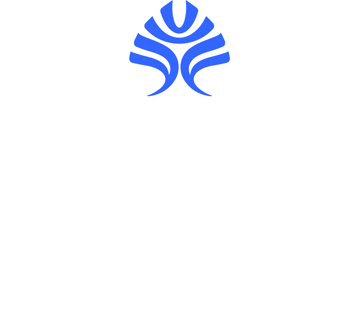 Paisley Mountain Press