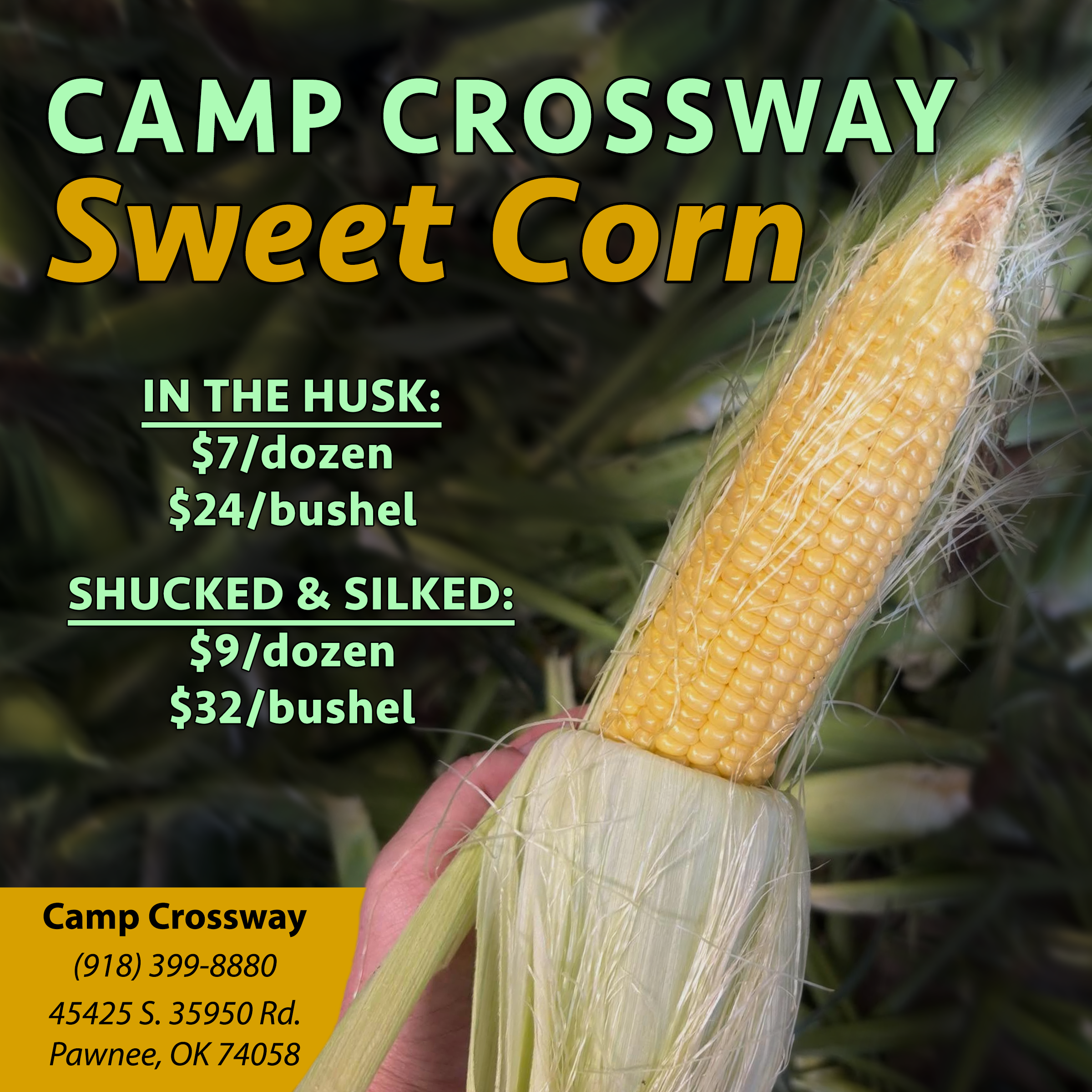 corn fb ad copy.png