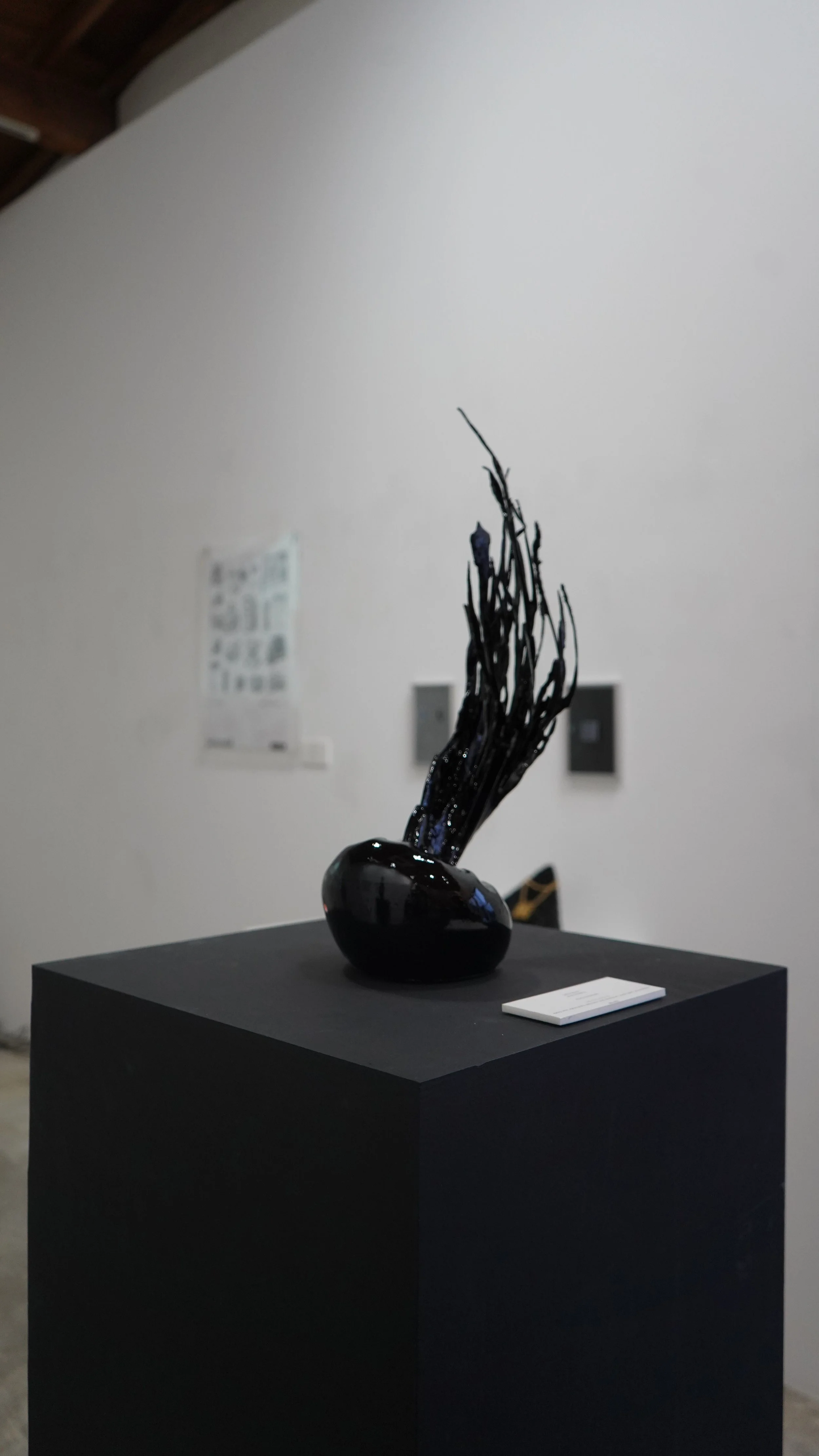 DSC09904-2.jpg