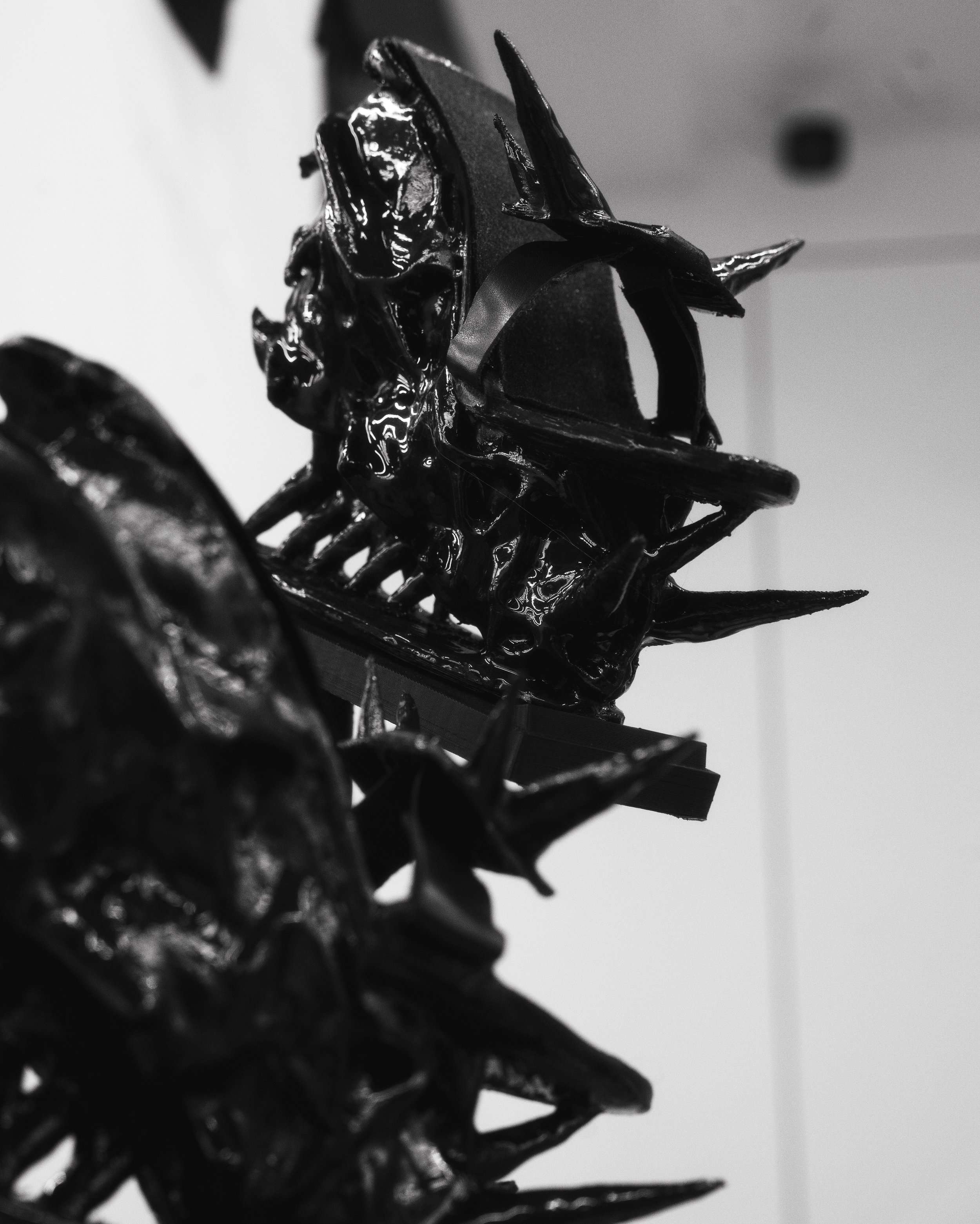 DSC02137-01.jpeg