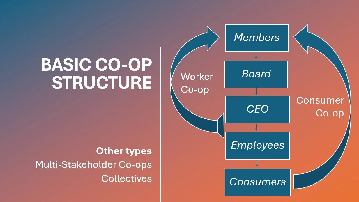 Basic structure of CO-ops.jpg