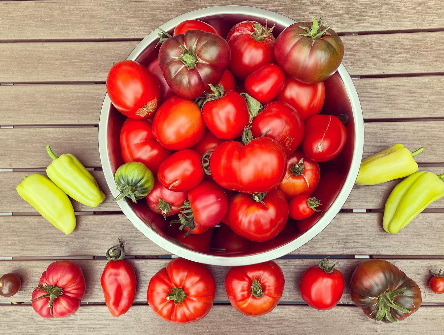 Planted 8 different tomato plants this year&hellip;time for a tomato flight tasting! 🍻 Which one do you think tastes the best? 

#tomatoes #urbangarden #peppers #foodismedicine #growsomefood #gardentotable #lifeismedicine #harvest