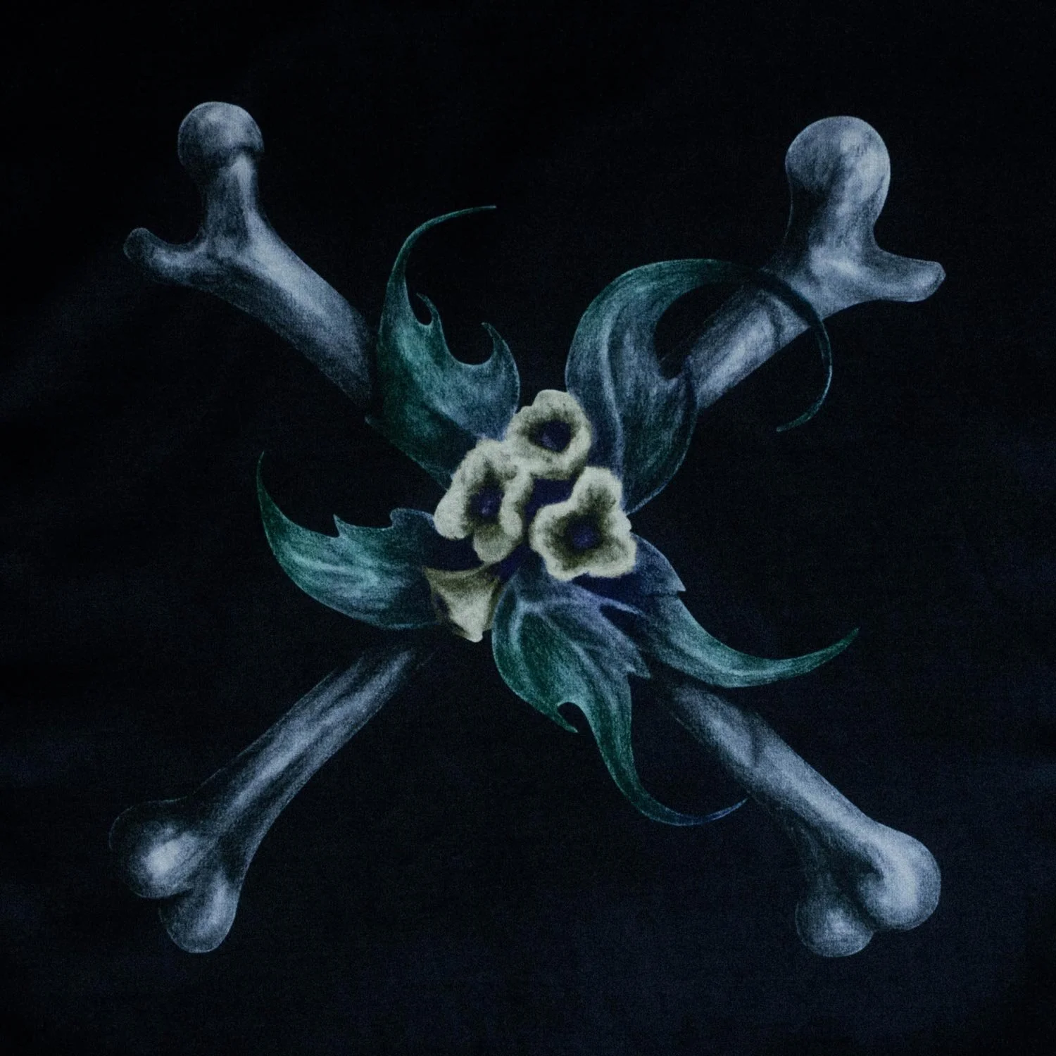 Crossbones_Velvetartprint_HollieQuinn_2.jpg