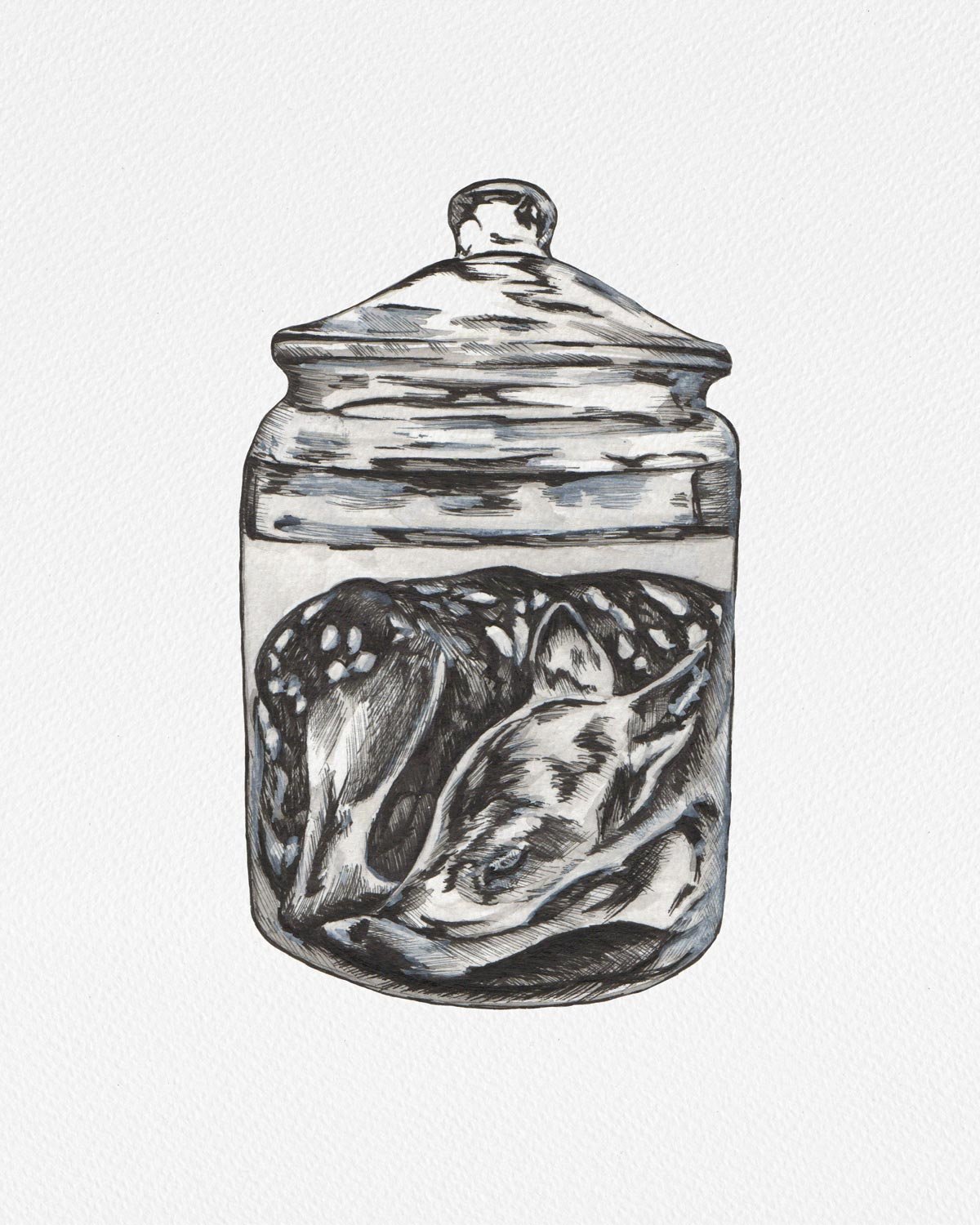 Black and white pen and ink drawing of a fawn in a Victorian specimen jar.