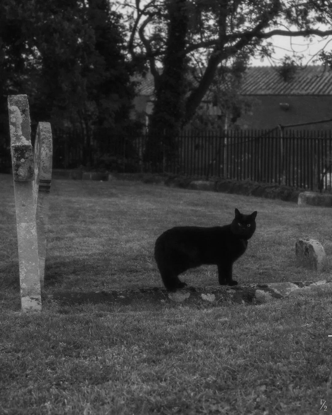 I'm currently working on a new series over on my blog. 

The first post will be coming very soon so keep your eyes peeled for more info.

Old graveyards have always been a fascination (and slightly weird obsession) of mine, and I'm so excited to show